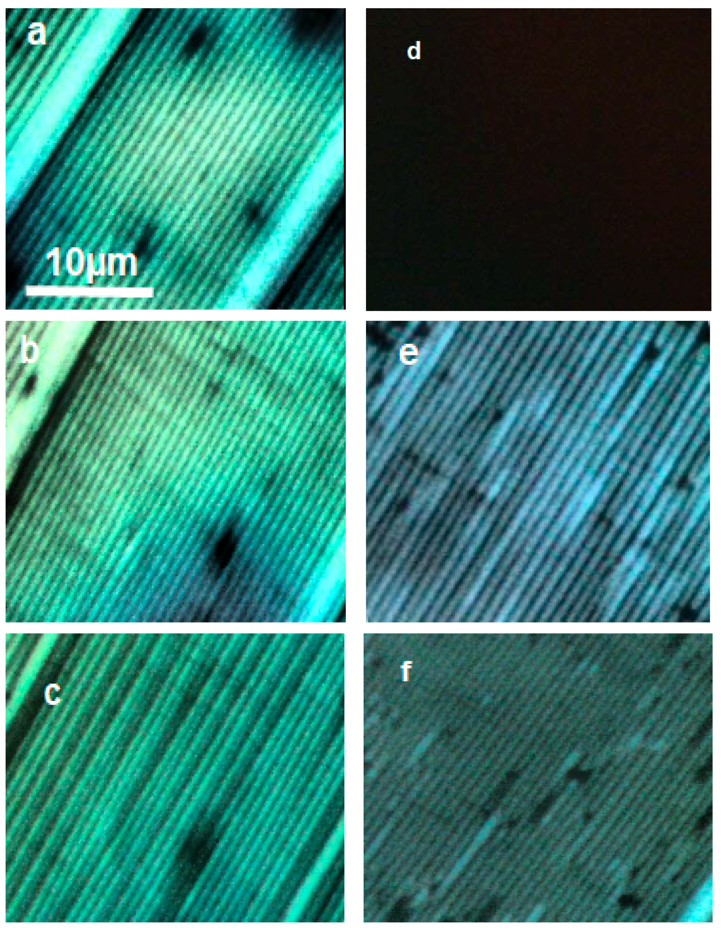 Crystals 07 00358 g007