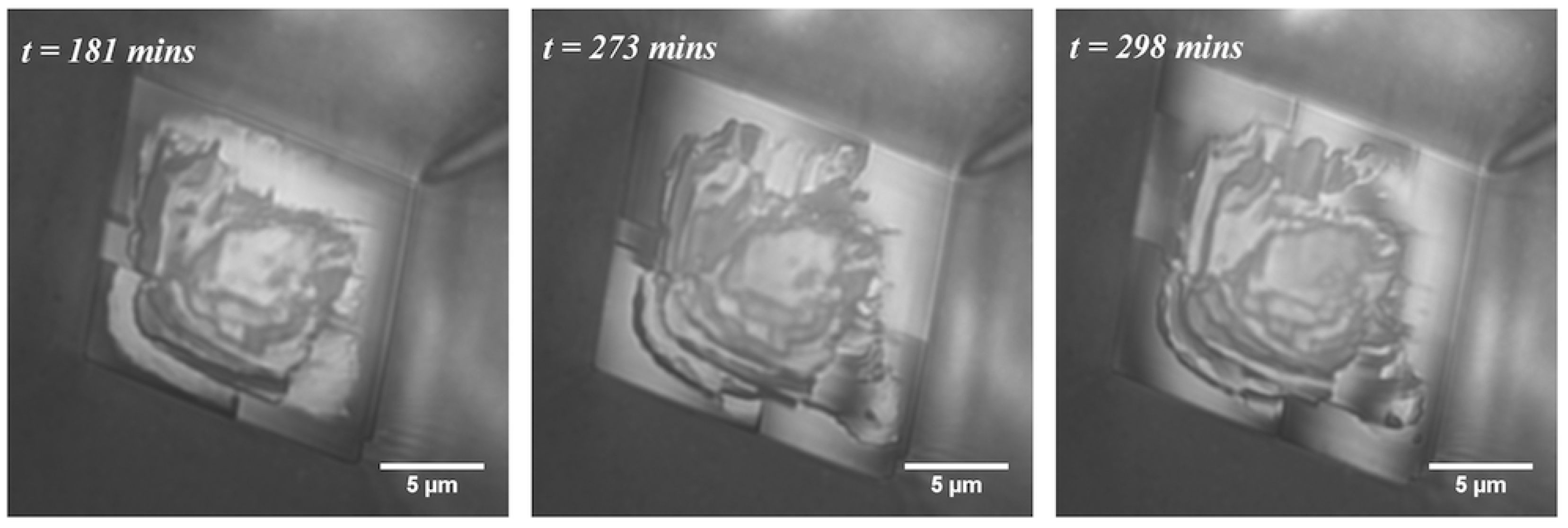 Crystals 07 00361 g003b 550