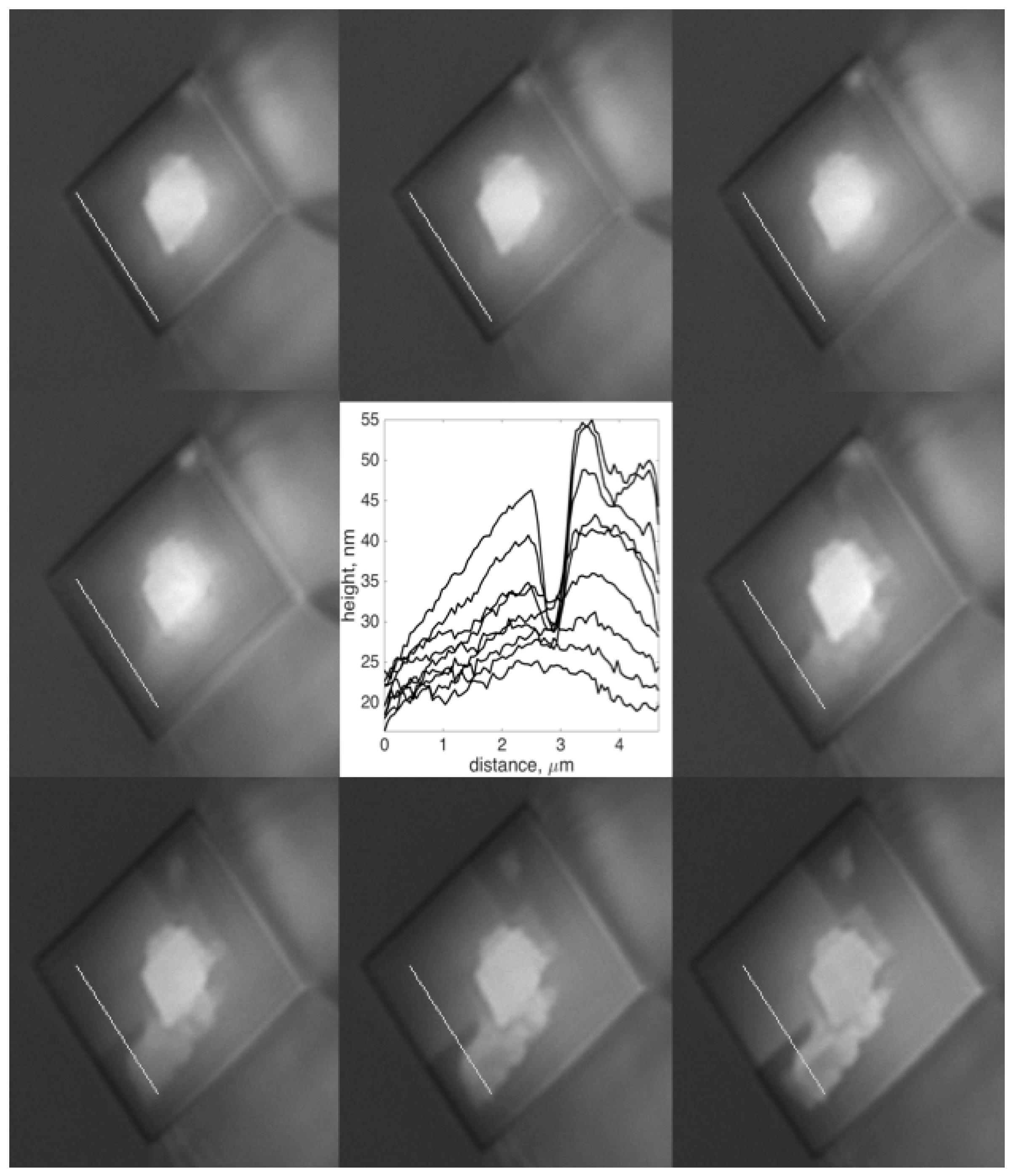 Crystals 07 00361 g007 550