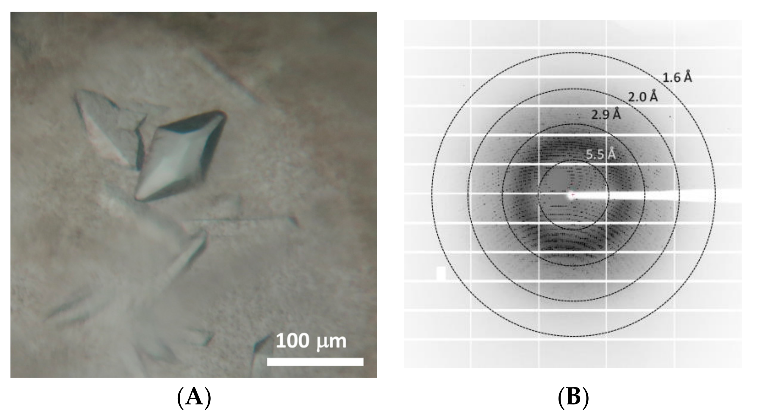 Crystals 08 00012 g003 Crystals 08 00012 g003