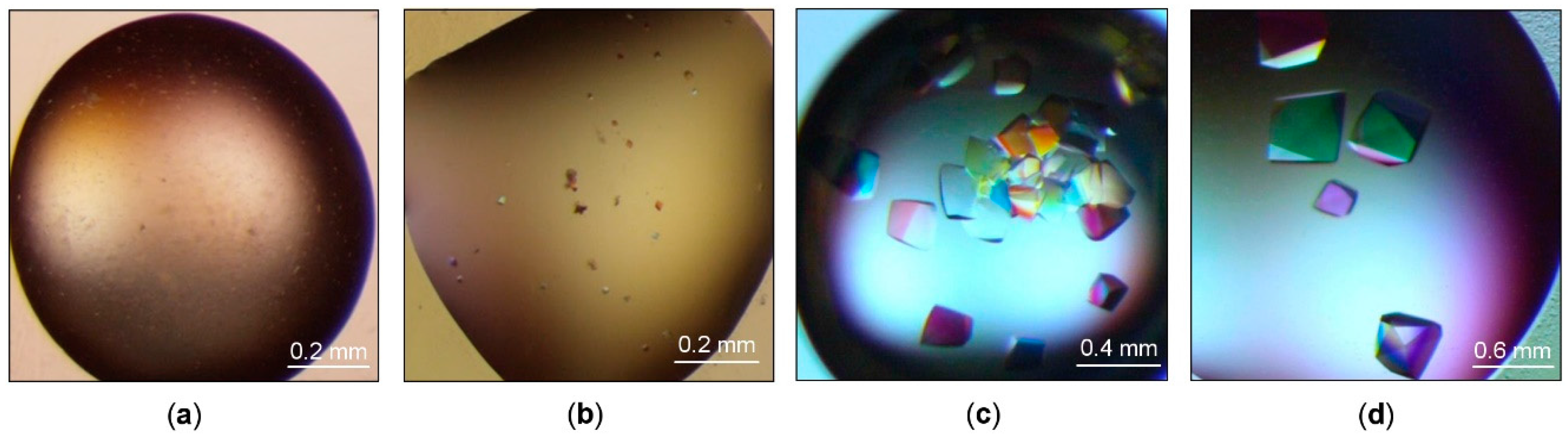 Crystals 08 00013 g003