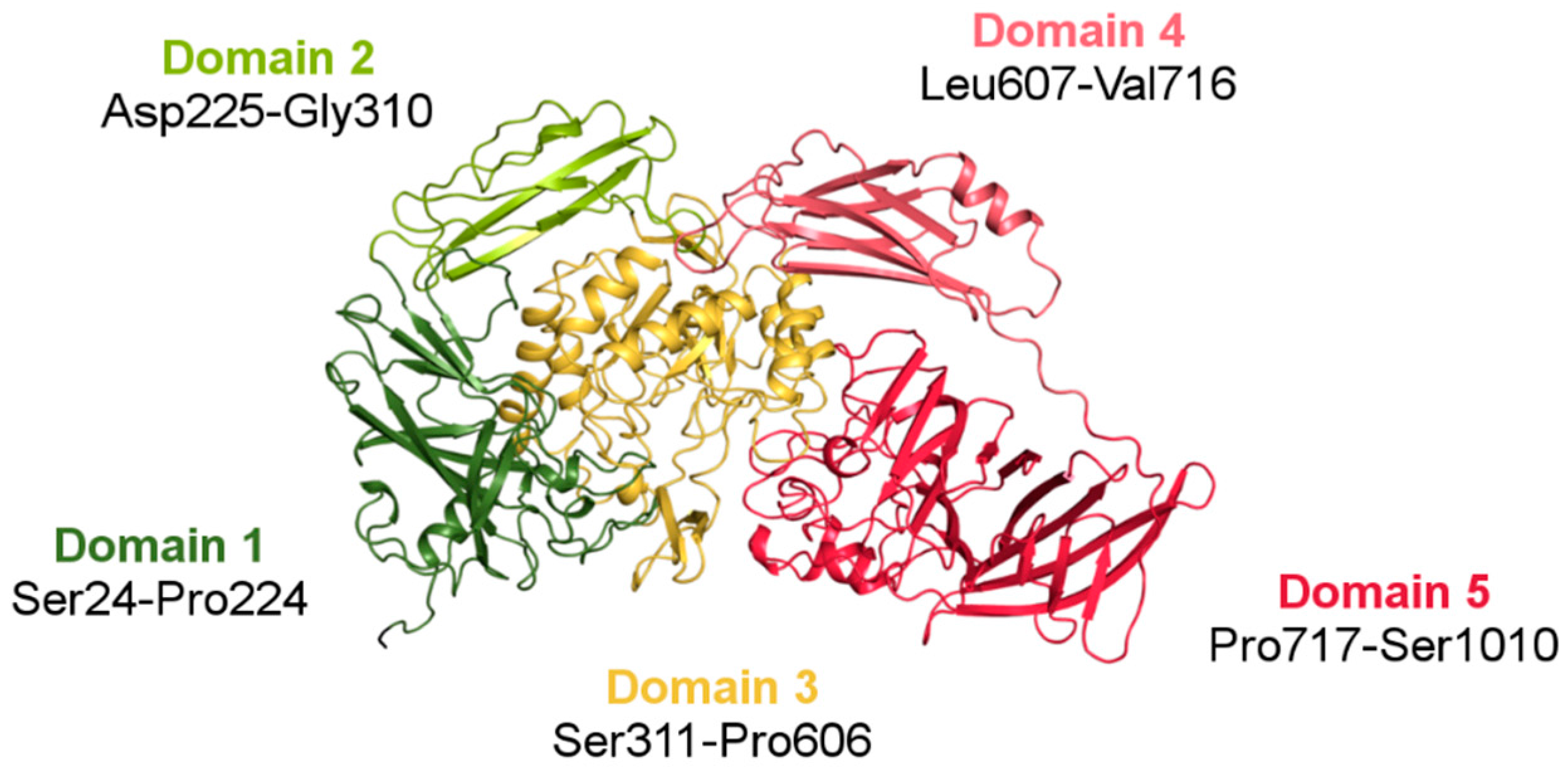 Crystals 08 00013 g006