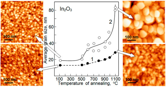サイズH70 Pets.Love.Earth Christmas Skirt Sweater Green | Pet Arabia