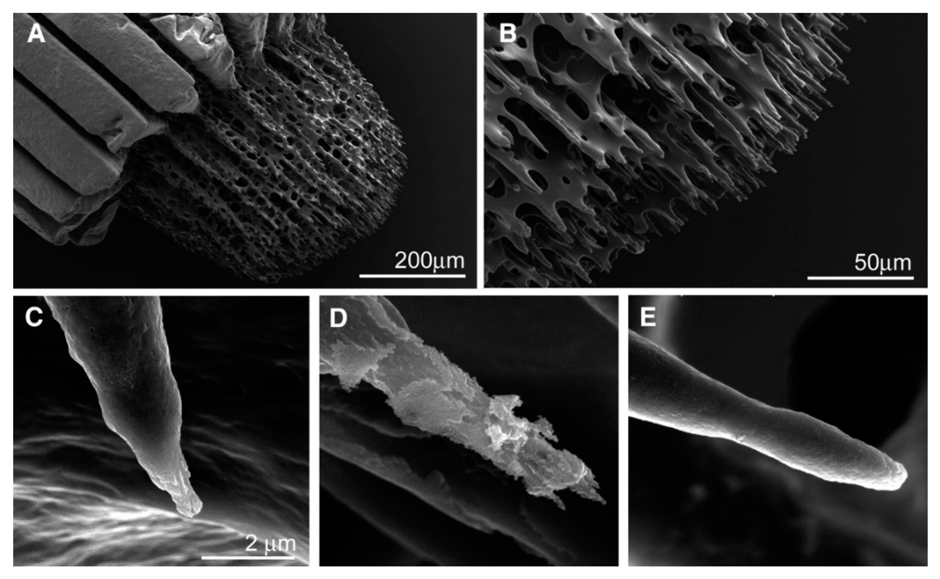 Crystals 08 00048 g003 Crystals 08 00048 g003