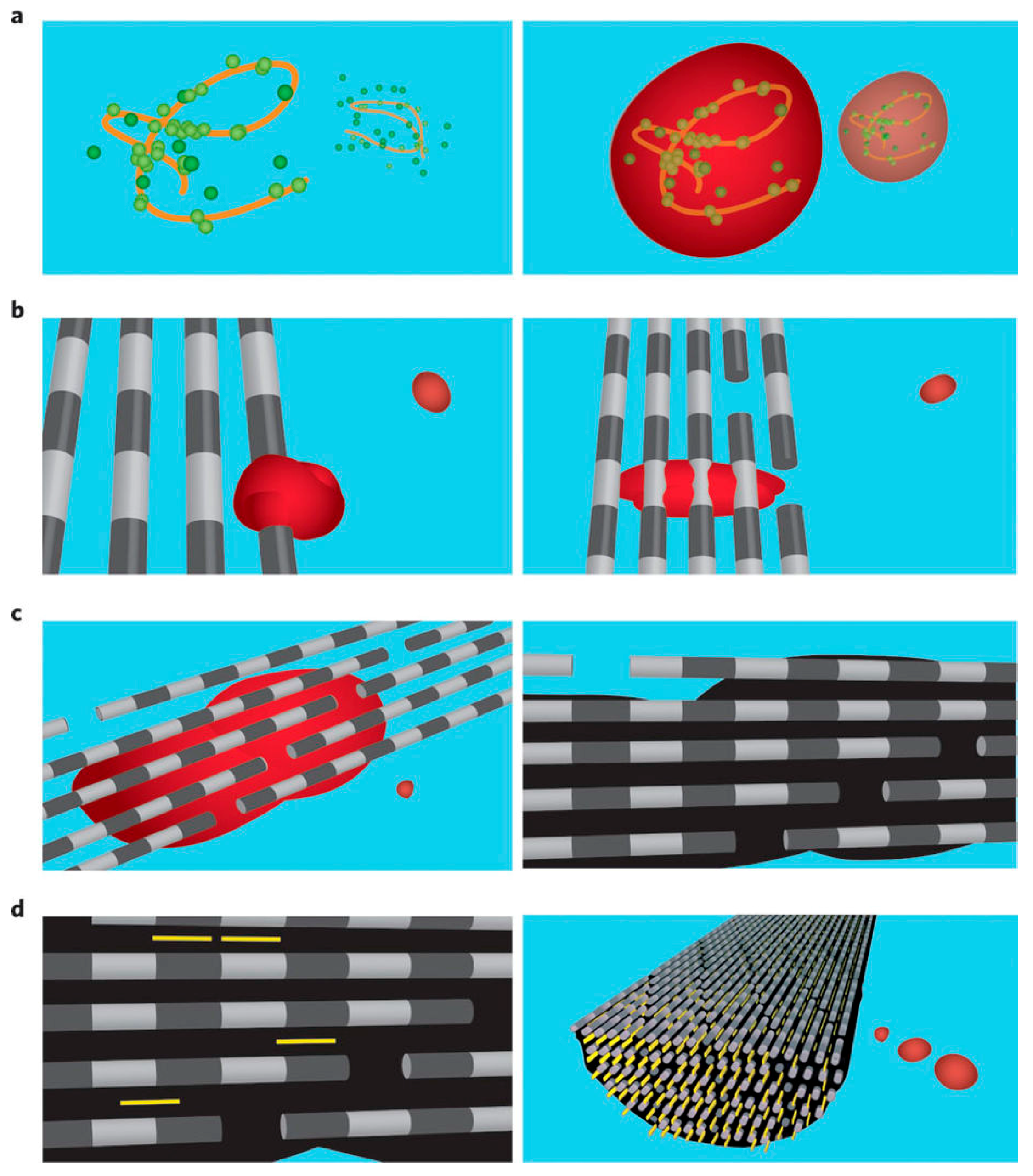 Crystals 08 00048 g006 Crystals 08 00048 g006