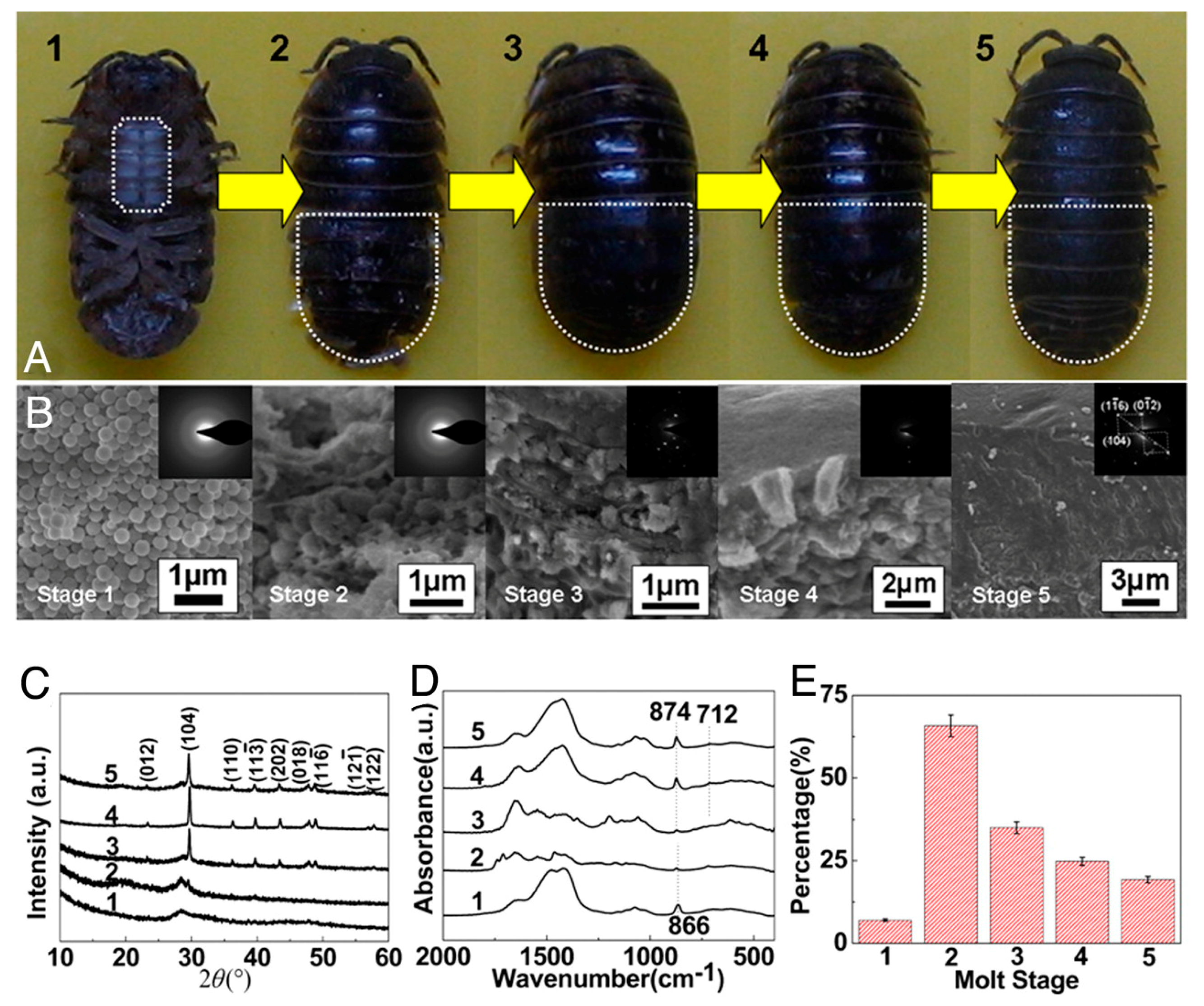 Crystals 08 00048 g007 Crystals 08 00048 g007