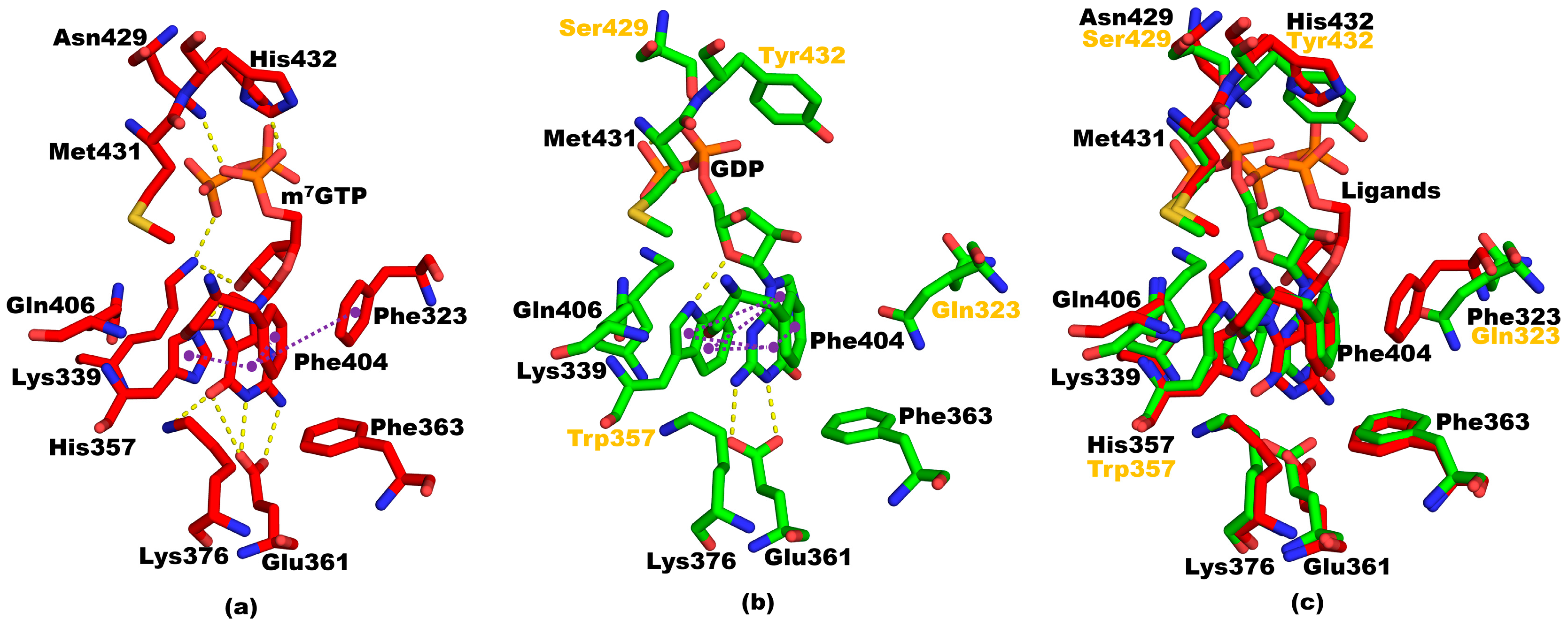 Crystals 08 00062 g008