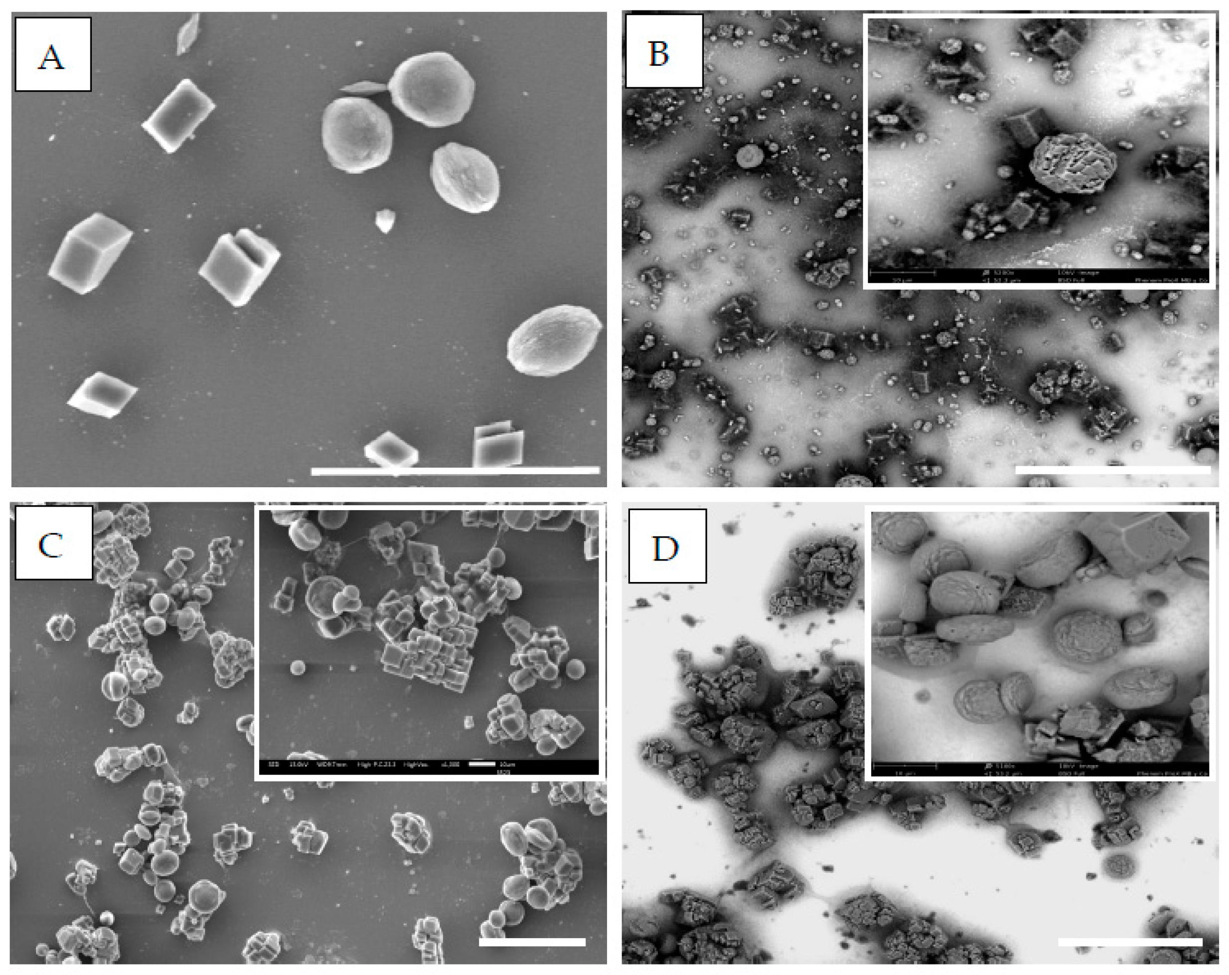 Crystals 08 00069 g003 550