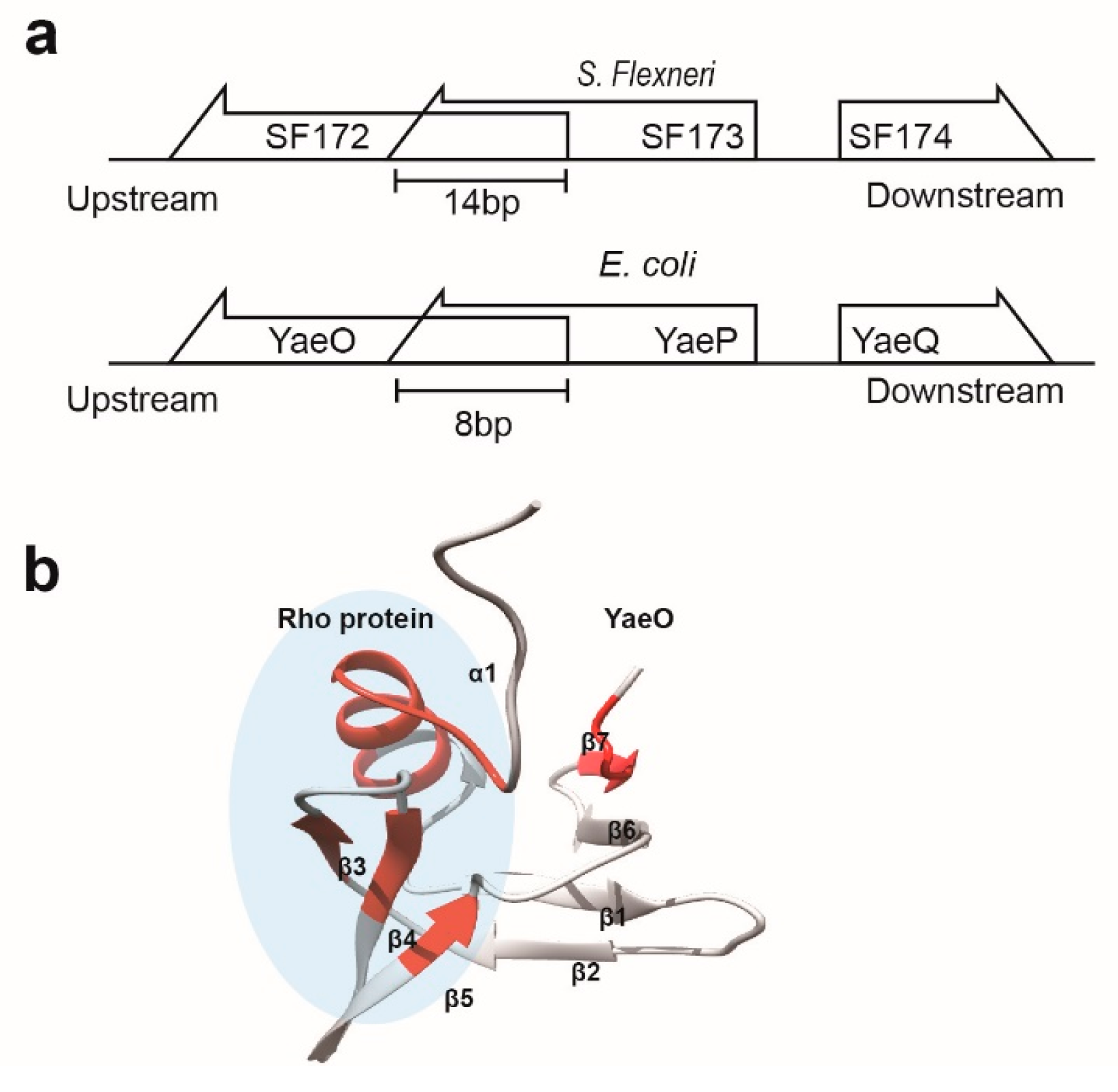 Crystals 08 00097 g003