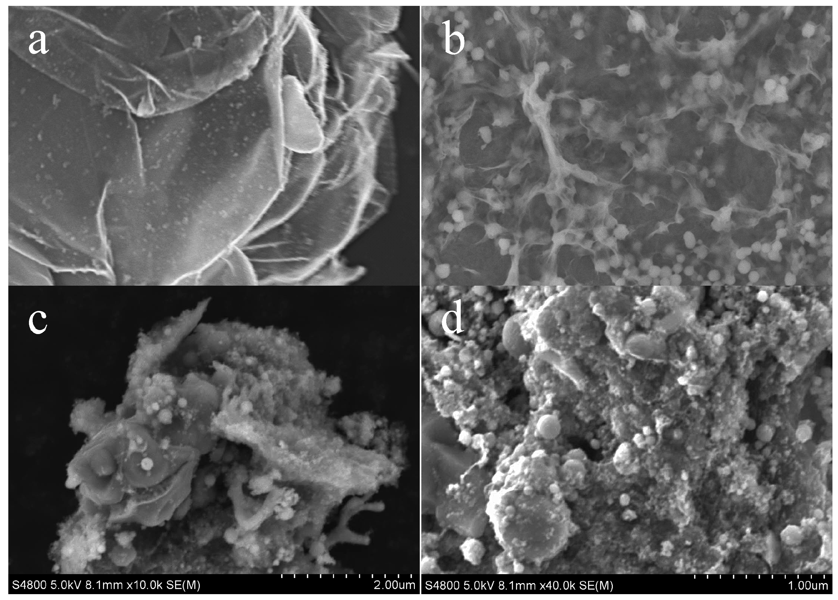 Crystals 08 00104 g003 550