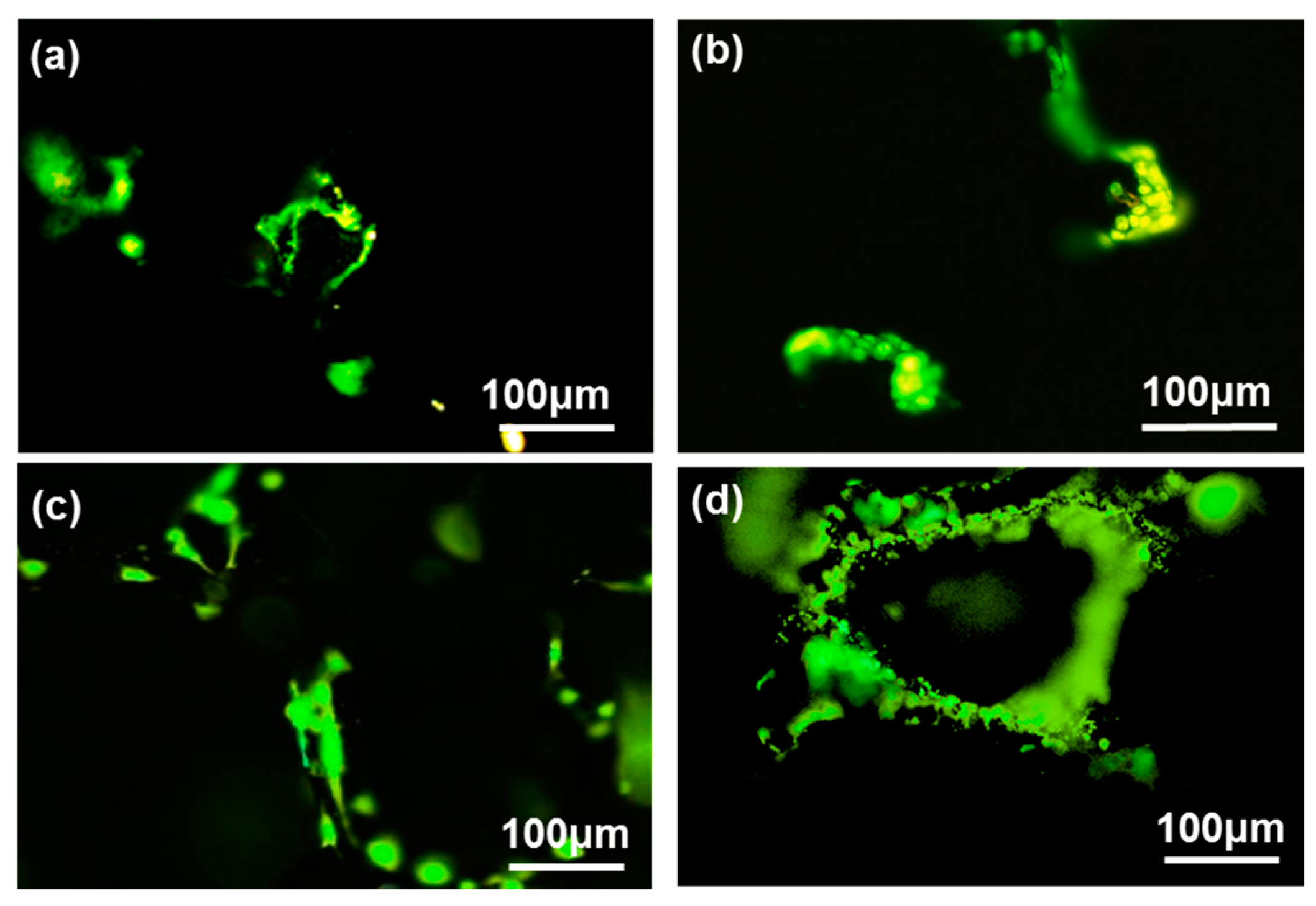 Crystals 08 00105 g006