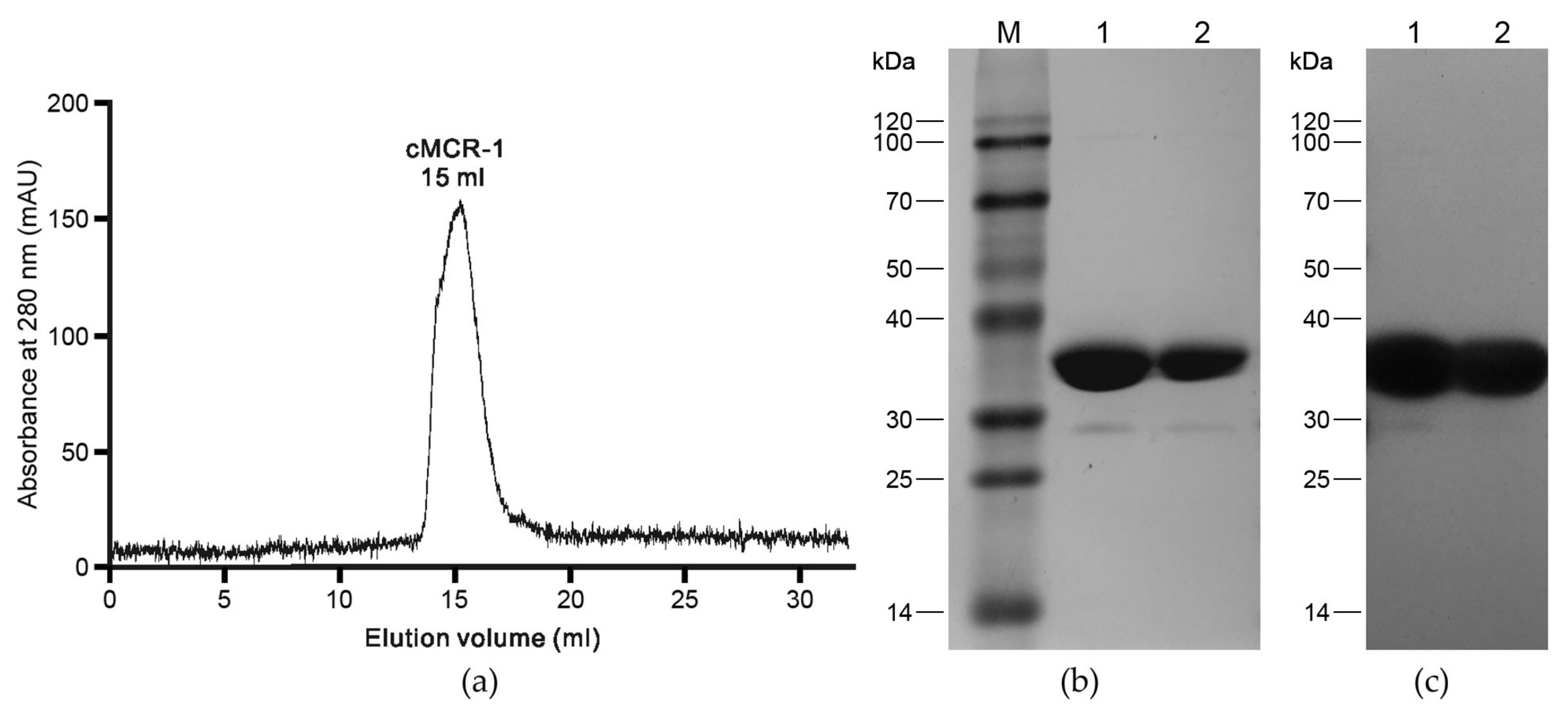 Crystals 08 00172 g001