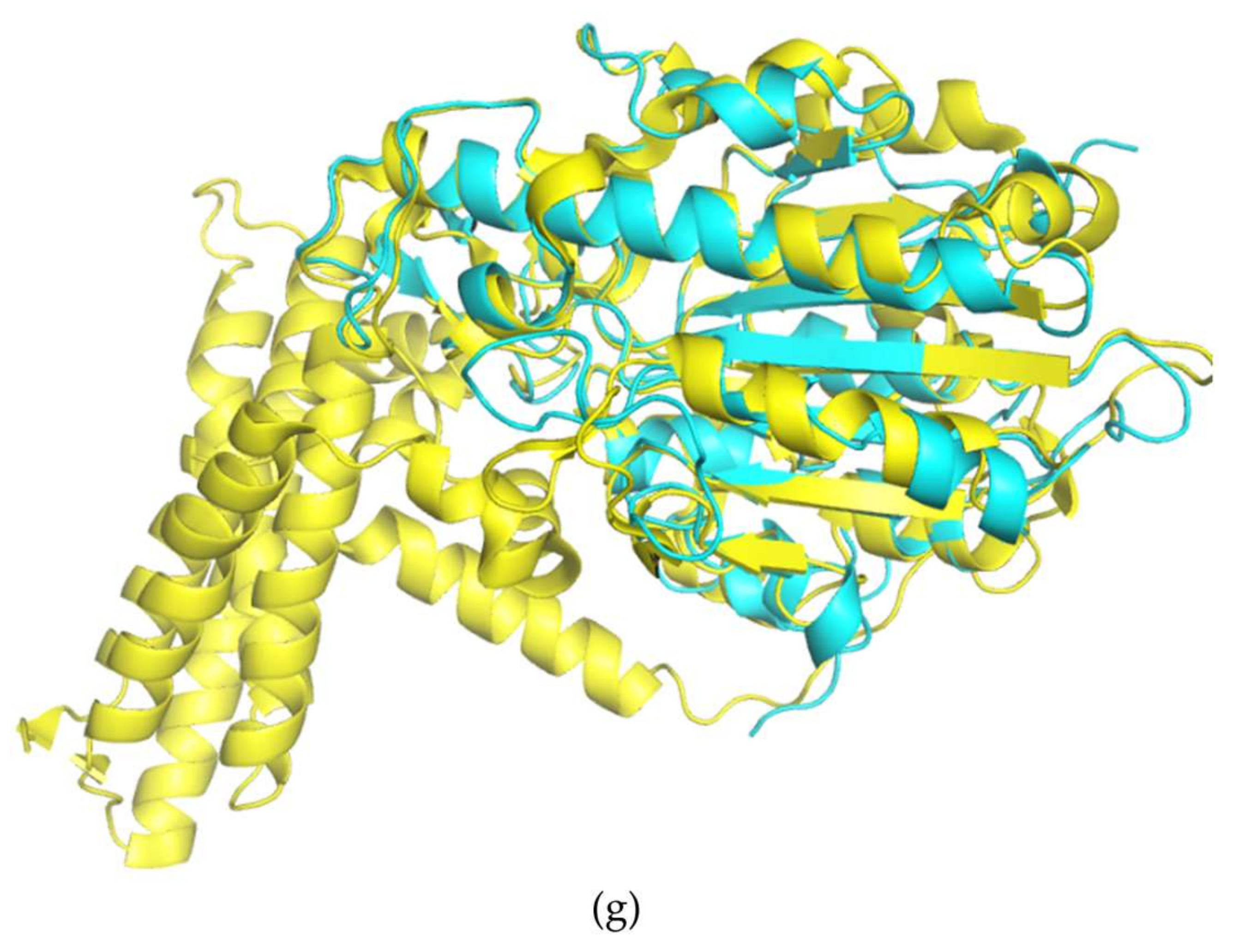 Crystals 08 00172 g004b