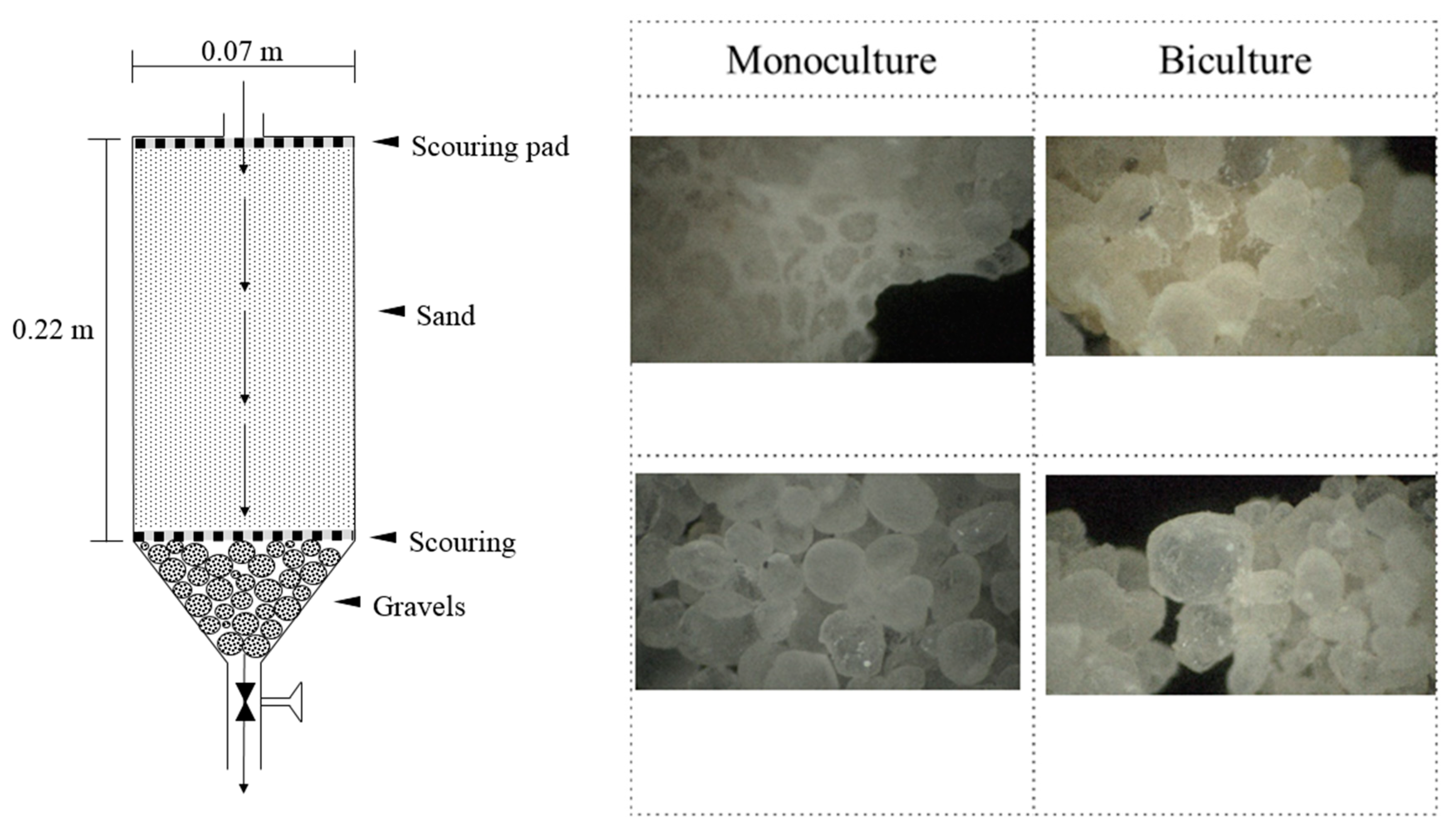 Crystals 08 00189 g008 550