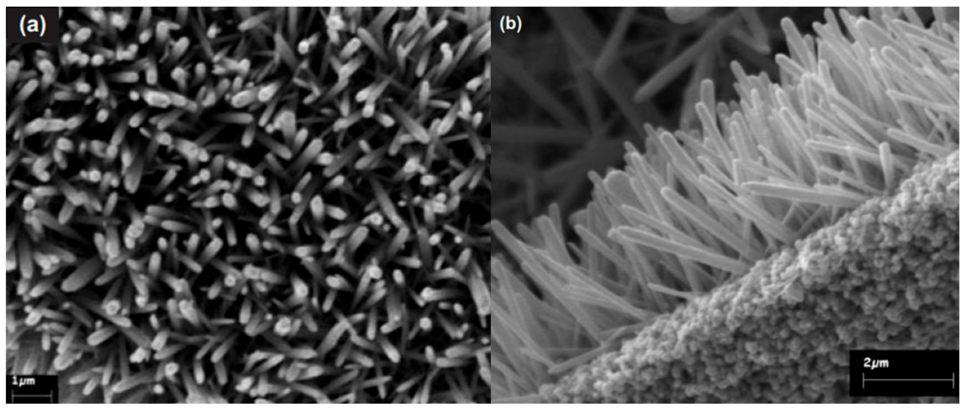 Crystals 08 00223 g004 Crystals 08 00223 g004