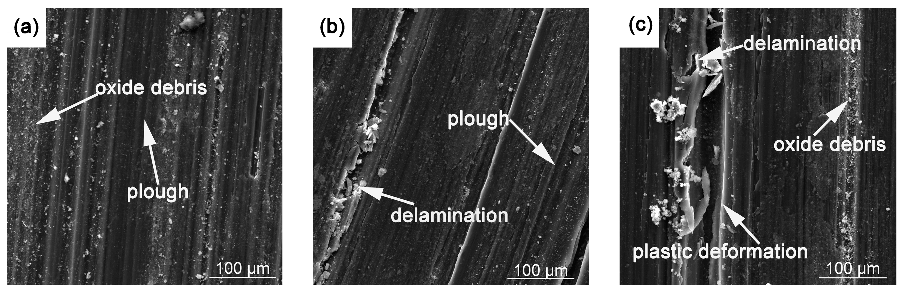 Crystals 08 00256 g017