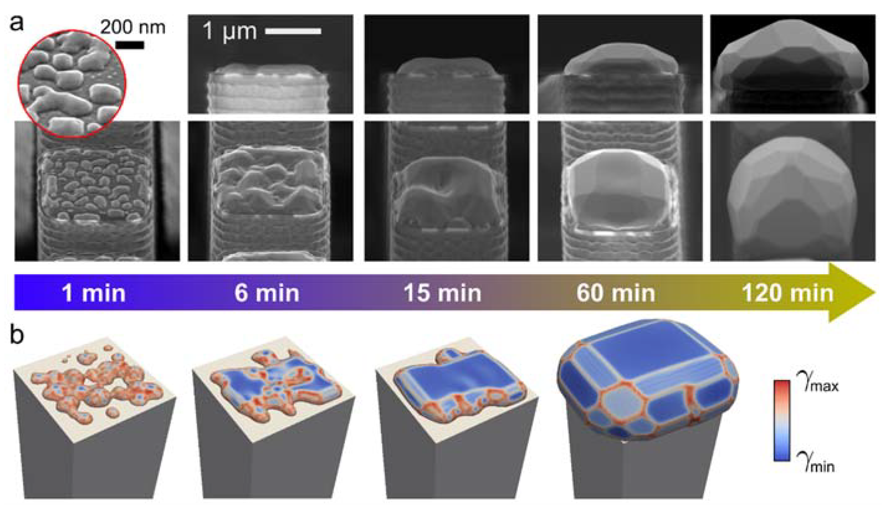 Crystals 08 00257 g004