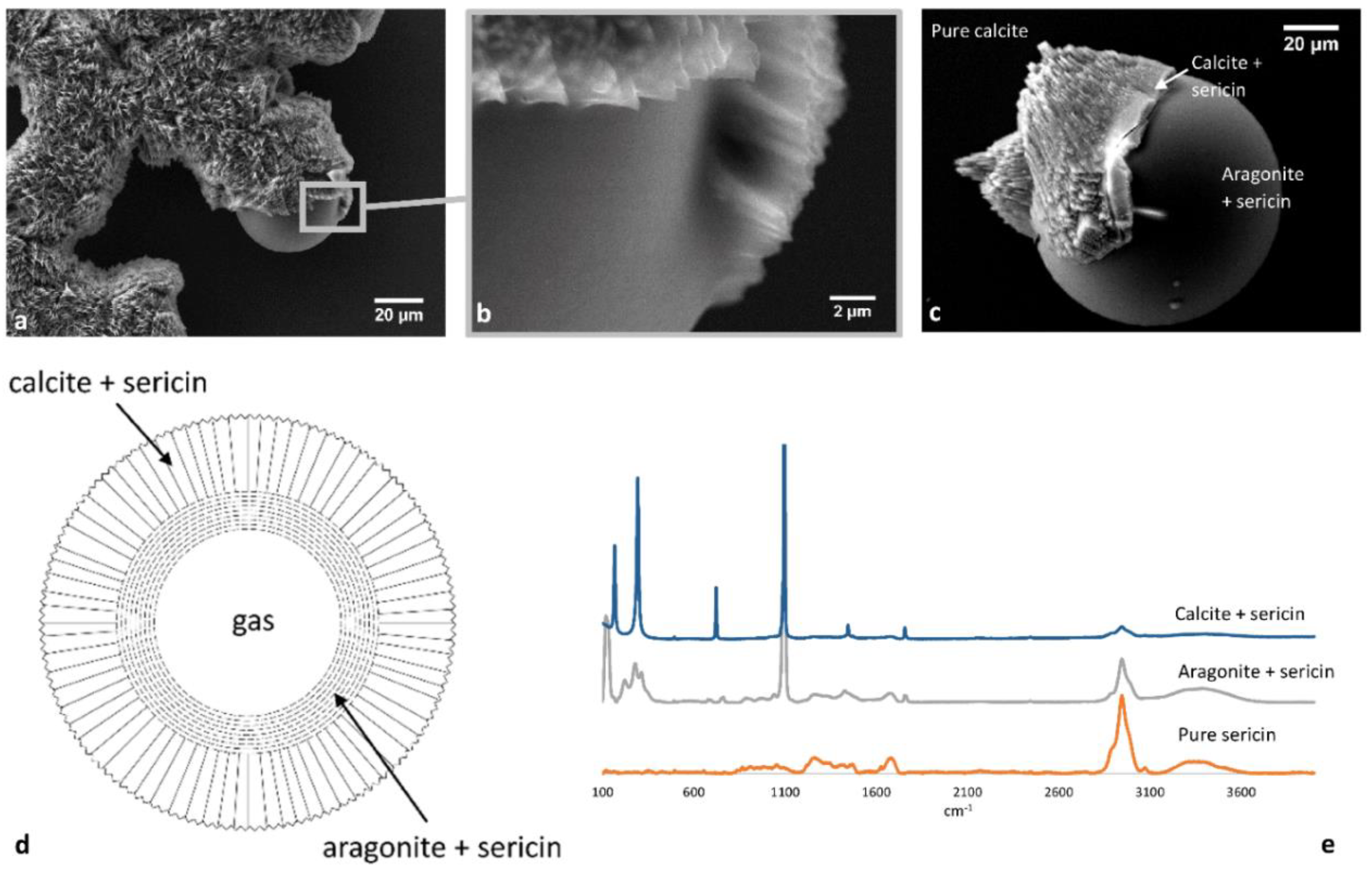 Crystals | Free Full-Text | Calcium Carbonate Polymorphs Growing in the