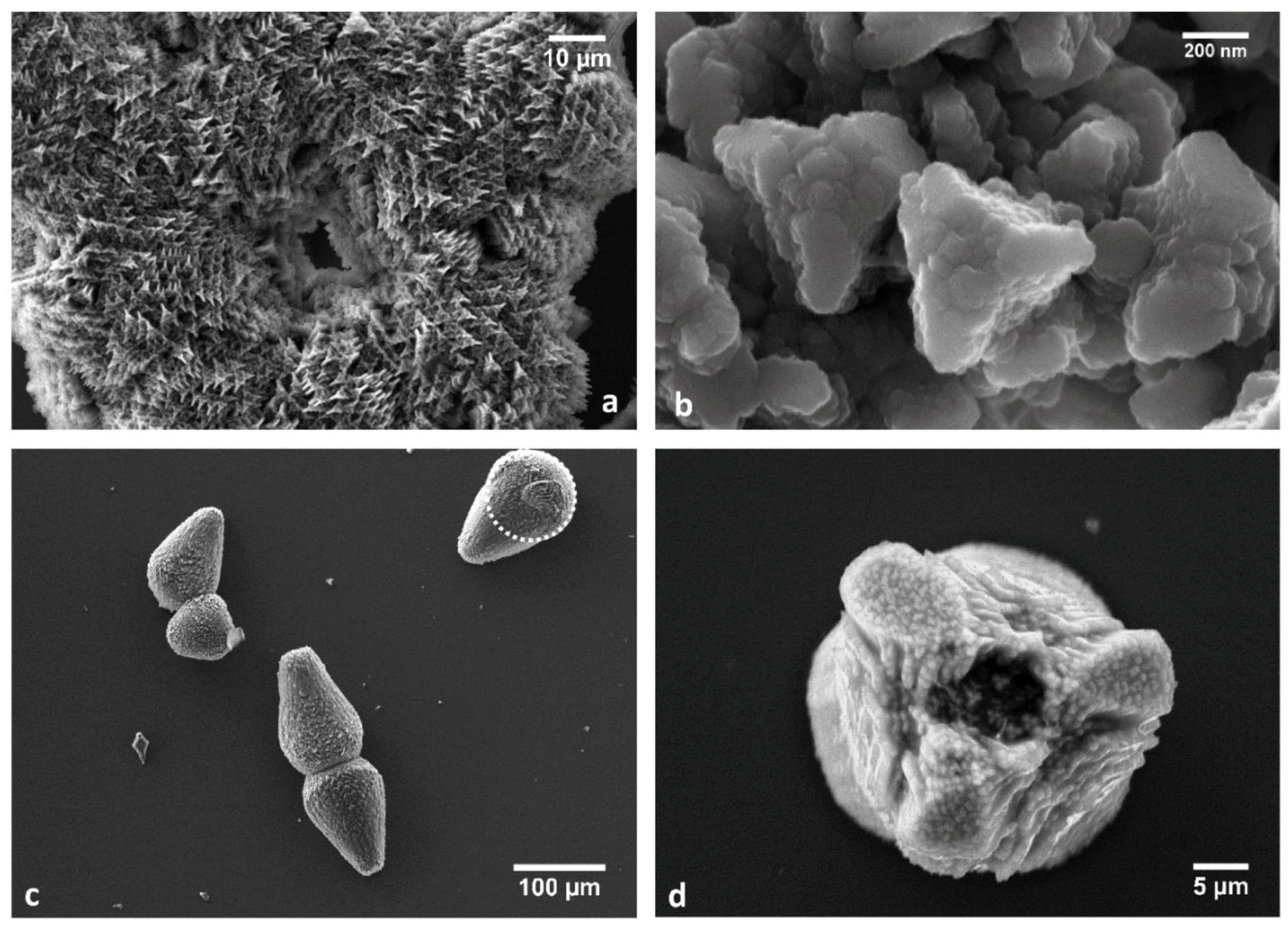 Crystals 08 00263 g007