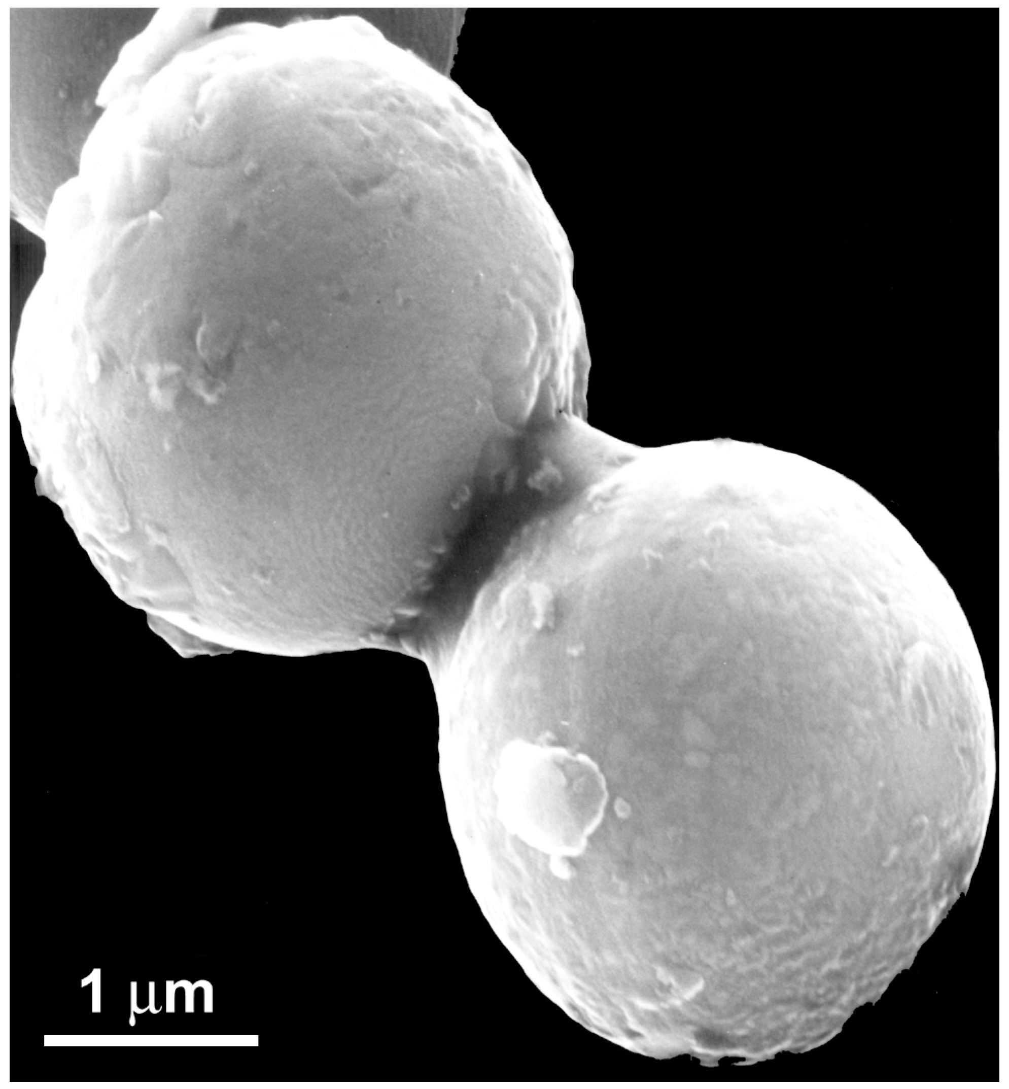 Crystals 08 00280 g015 Crystals 08 00280 g015