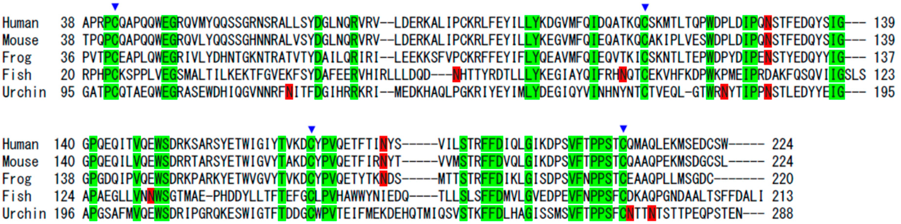 Crystals 08 00284 g001