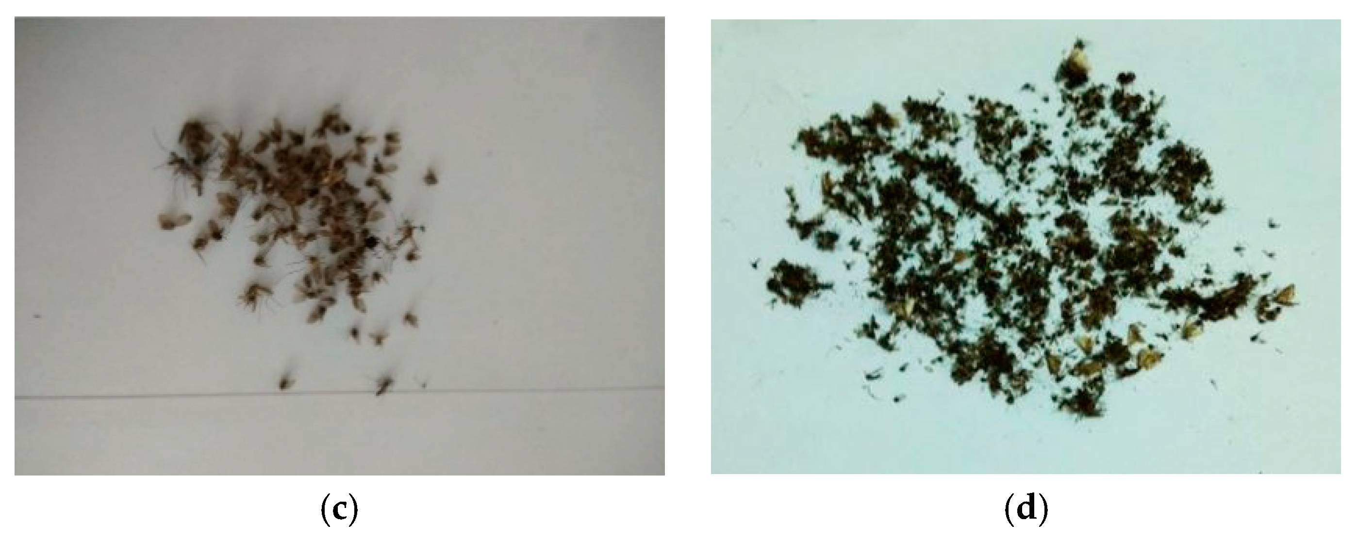 Crystals 08 00335 g009b Crystals 08 00335 g009b