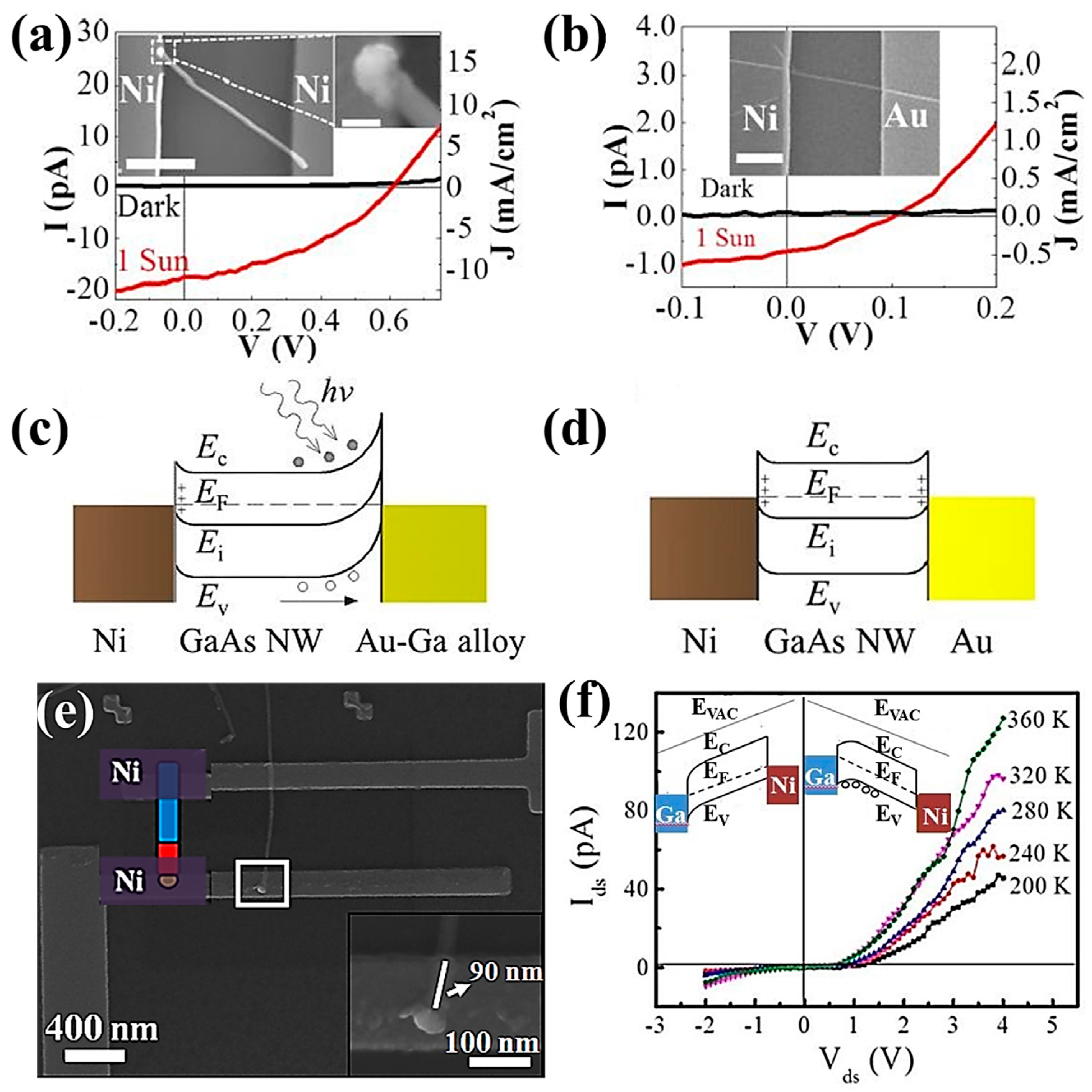 GaAs Nanowires Grown by Catalyst Epitaxy for High