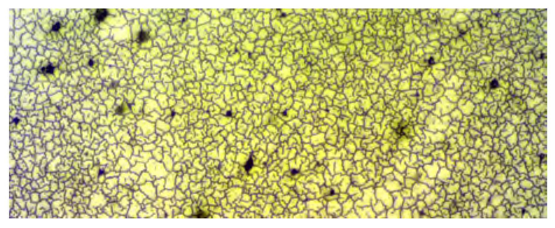 Crystals 08 00355 g020