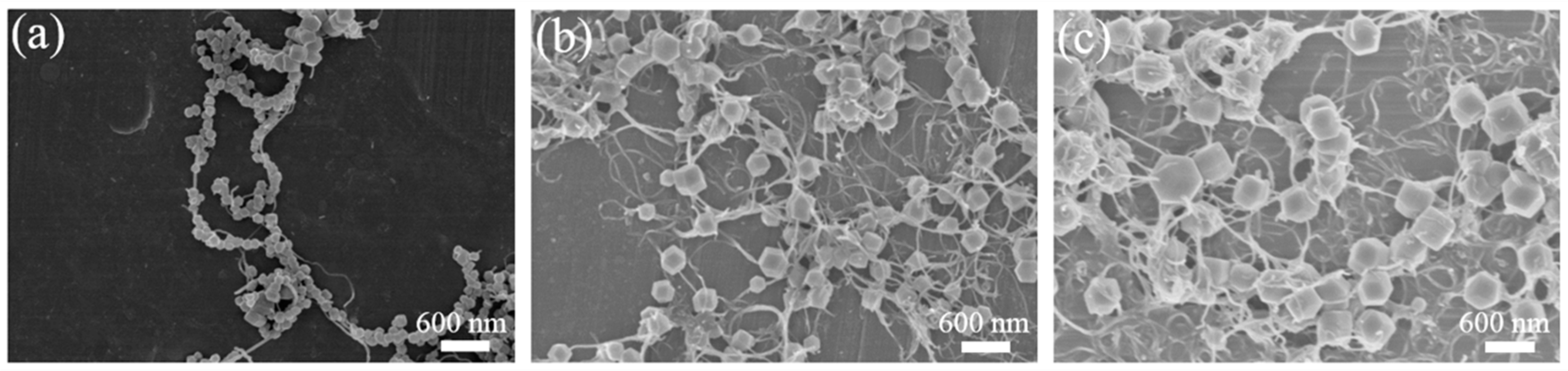 Crystals 08 00367 g003