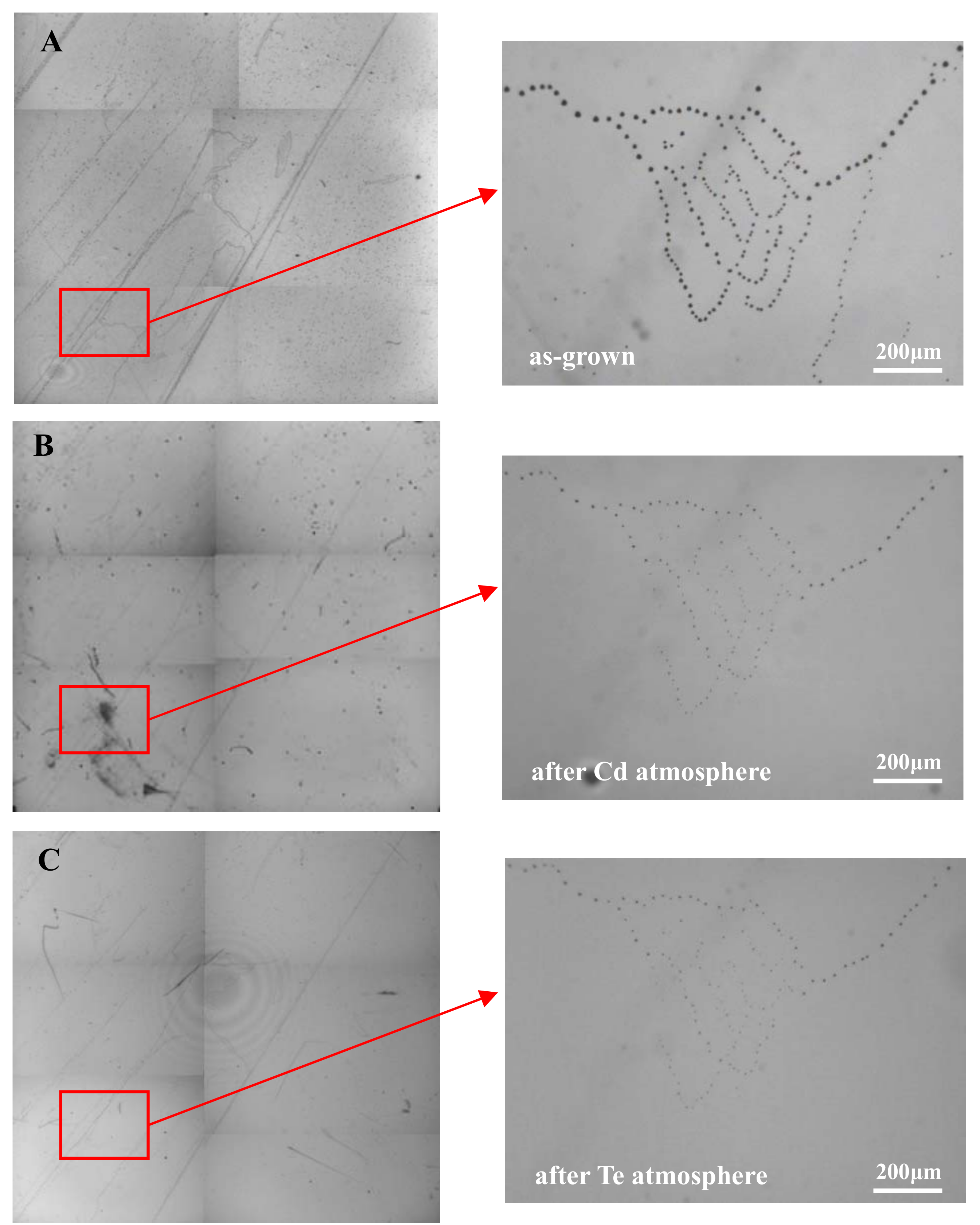 Crystals 08 00387 g004