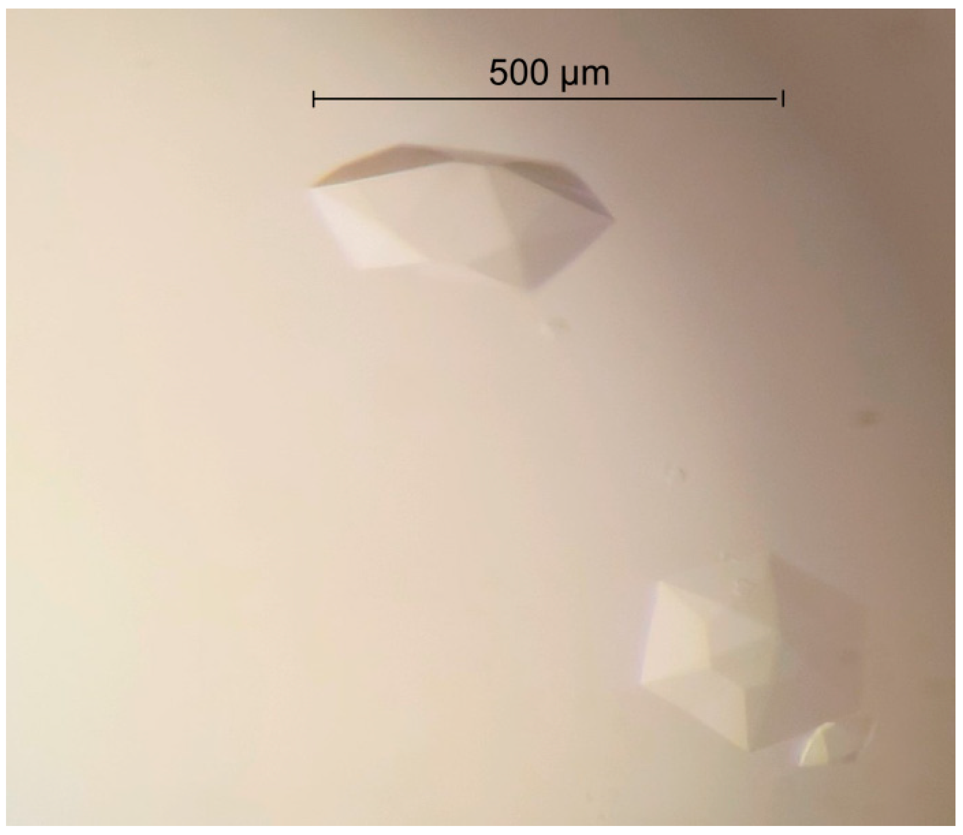 Crystals 08 00391 g005 Crystals 08 00391 g005