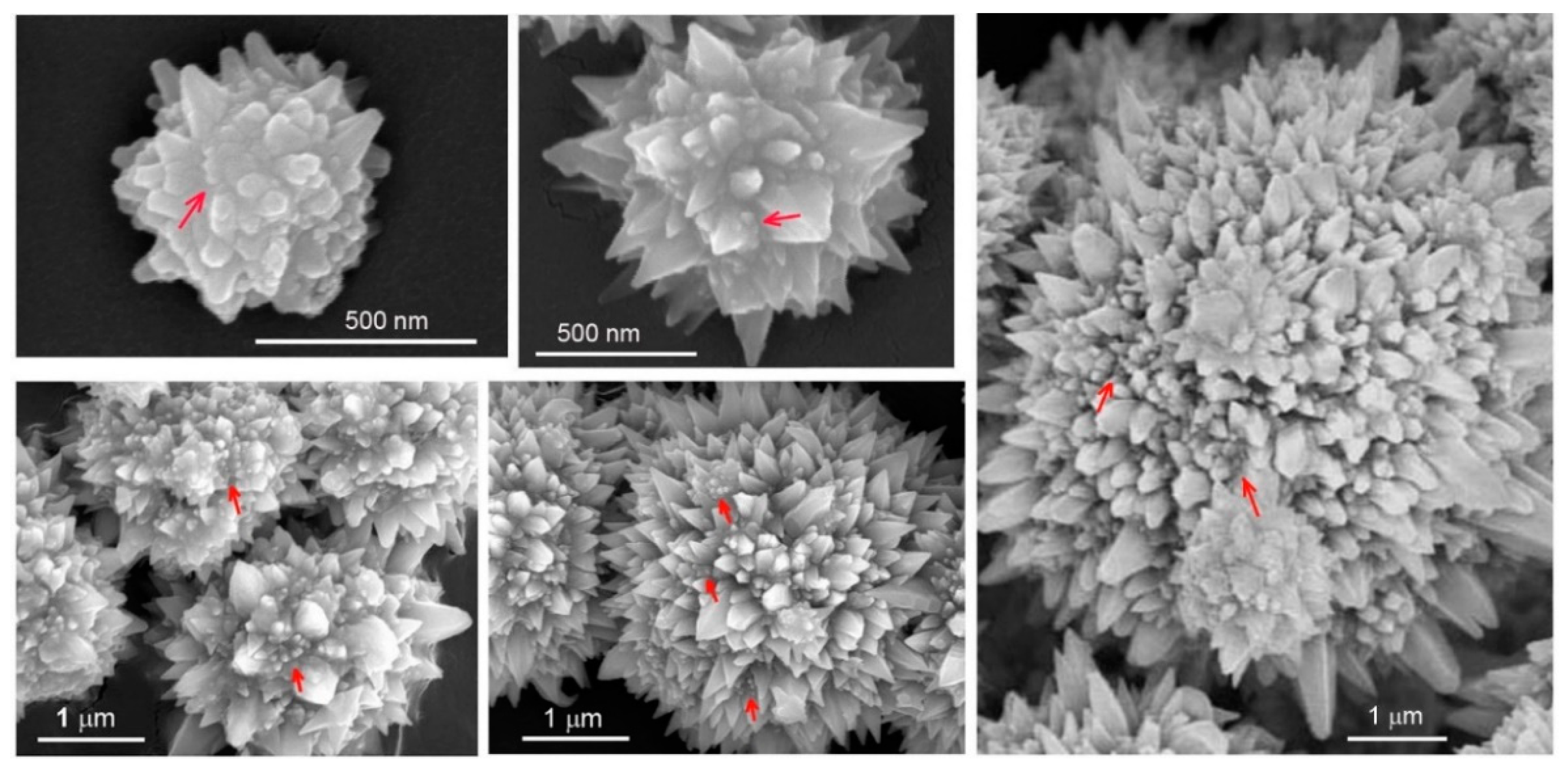 Crystals 08 00397 g011