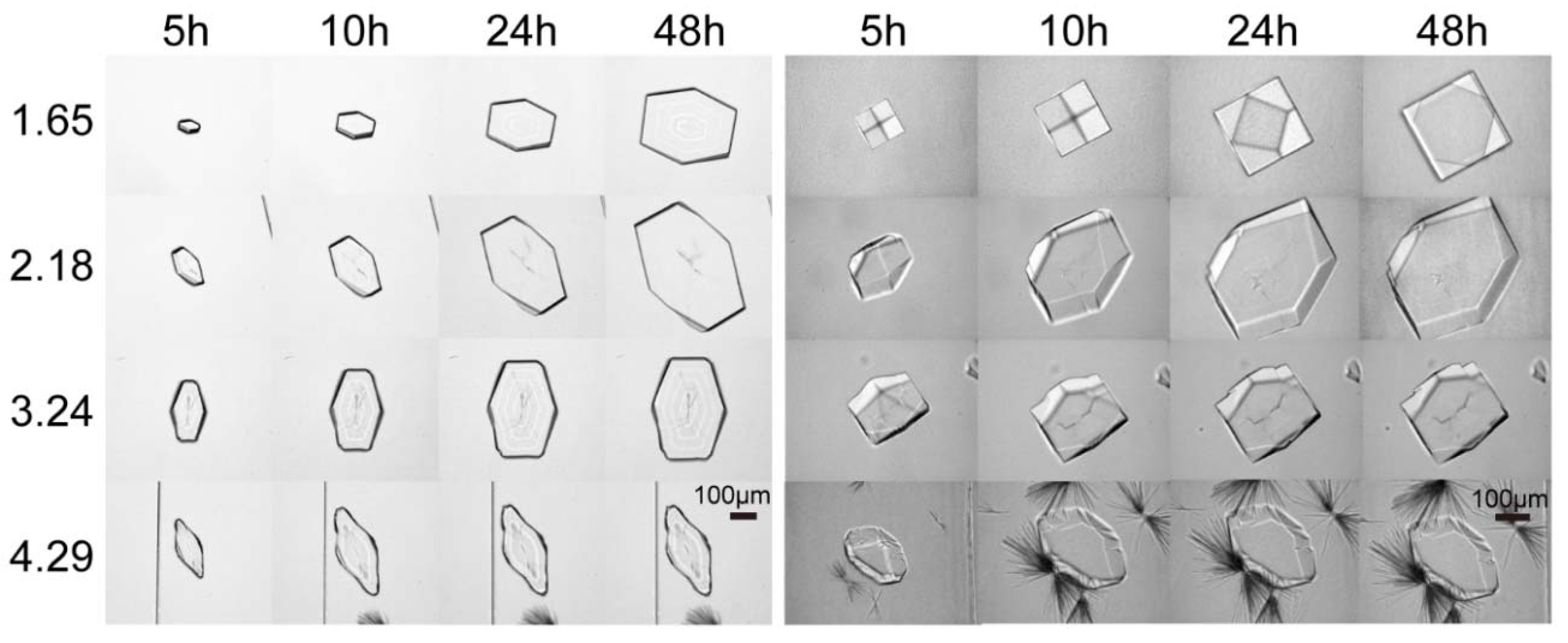 Crystals Free FullText The Study of the Mechanism of Protein