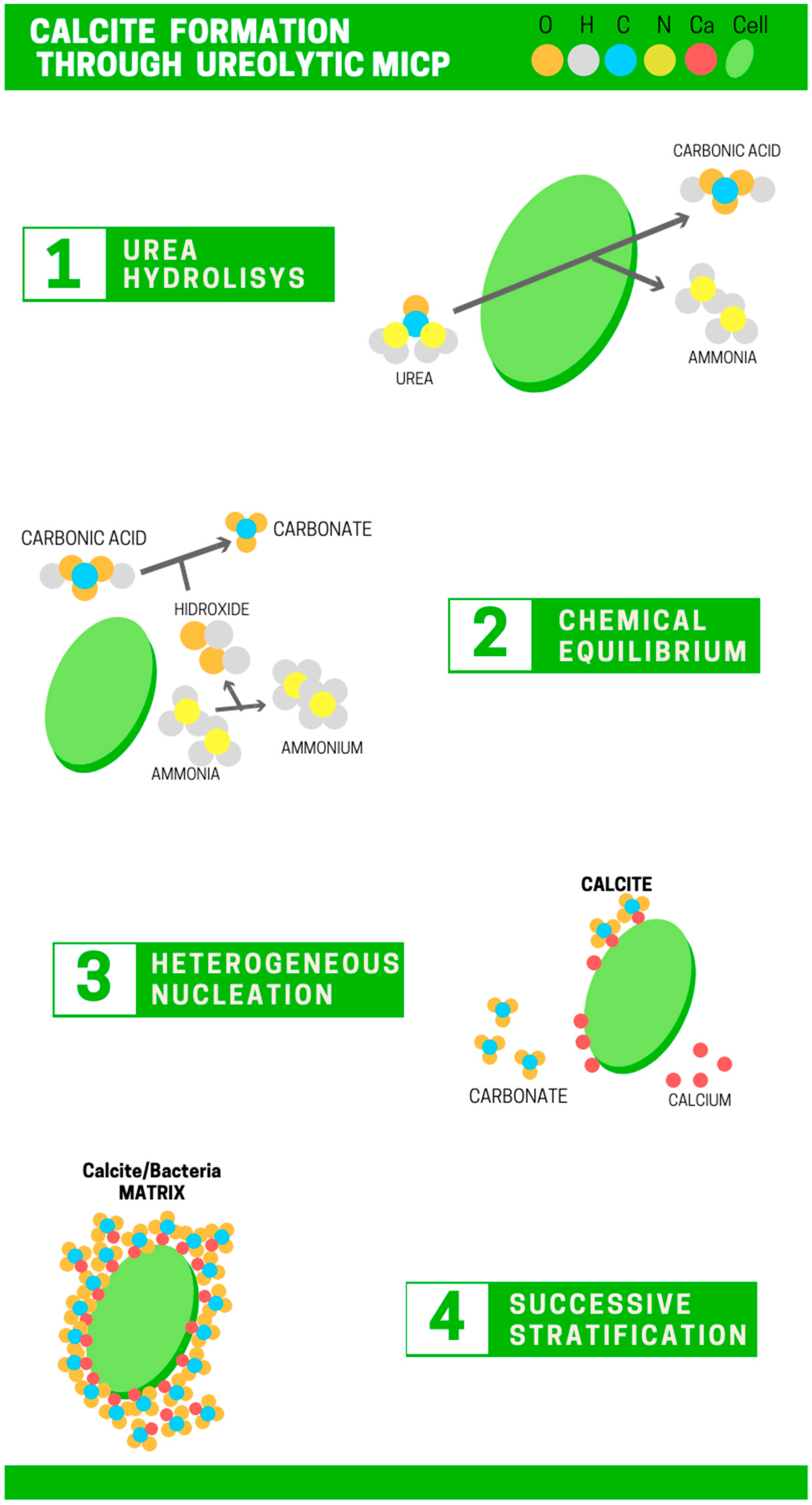 Crystals Free Full Text Can Microbially Induced Calcite Precipitation Micp Through A Ureolytic Pathway Be Successfully Applied For Removing Heavy Metals From Wastewaters Crystals Free Full Text Can Microbially Induced Calcite Precipitation Micp Through A Ureolytic Pathway Be Successfully Applied For Removing Heavy Metals From Wastewaters