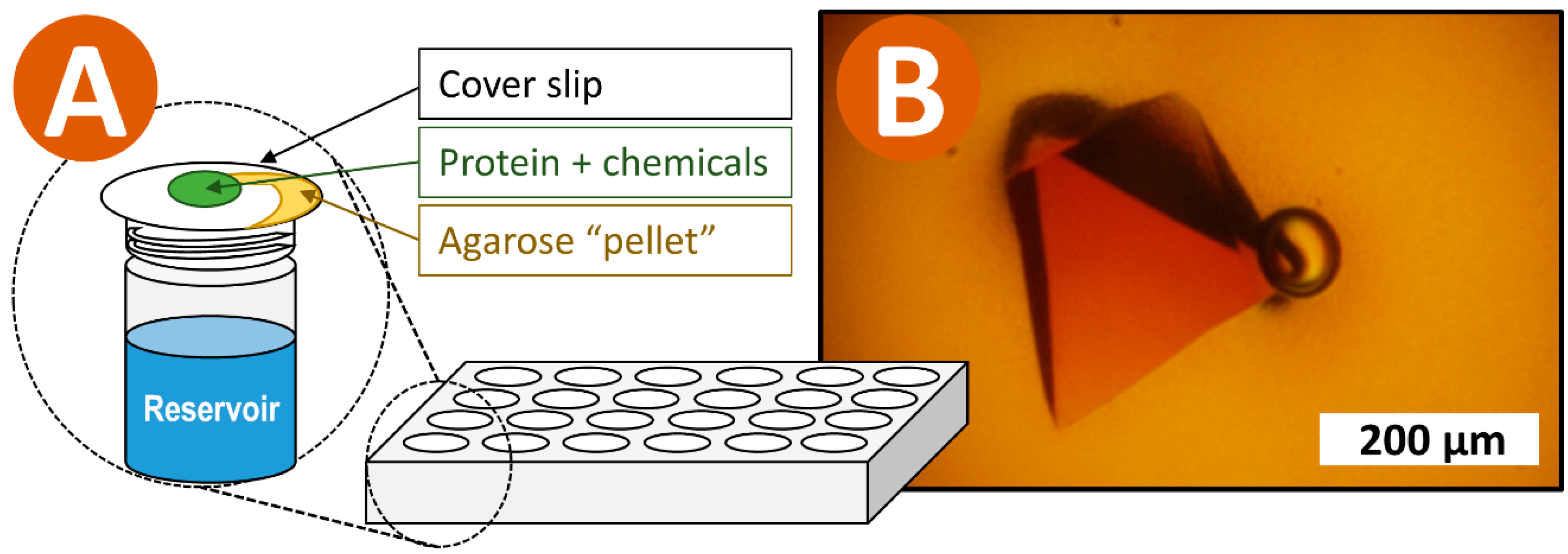 Crystals 08 00464 g001 Crystals 08 00464 g001