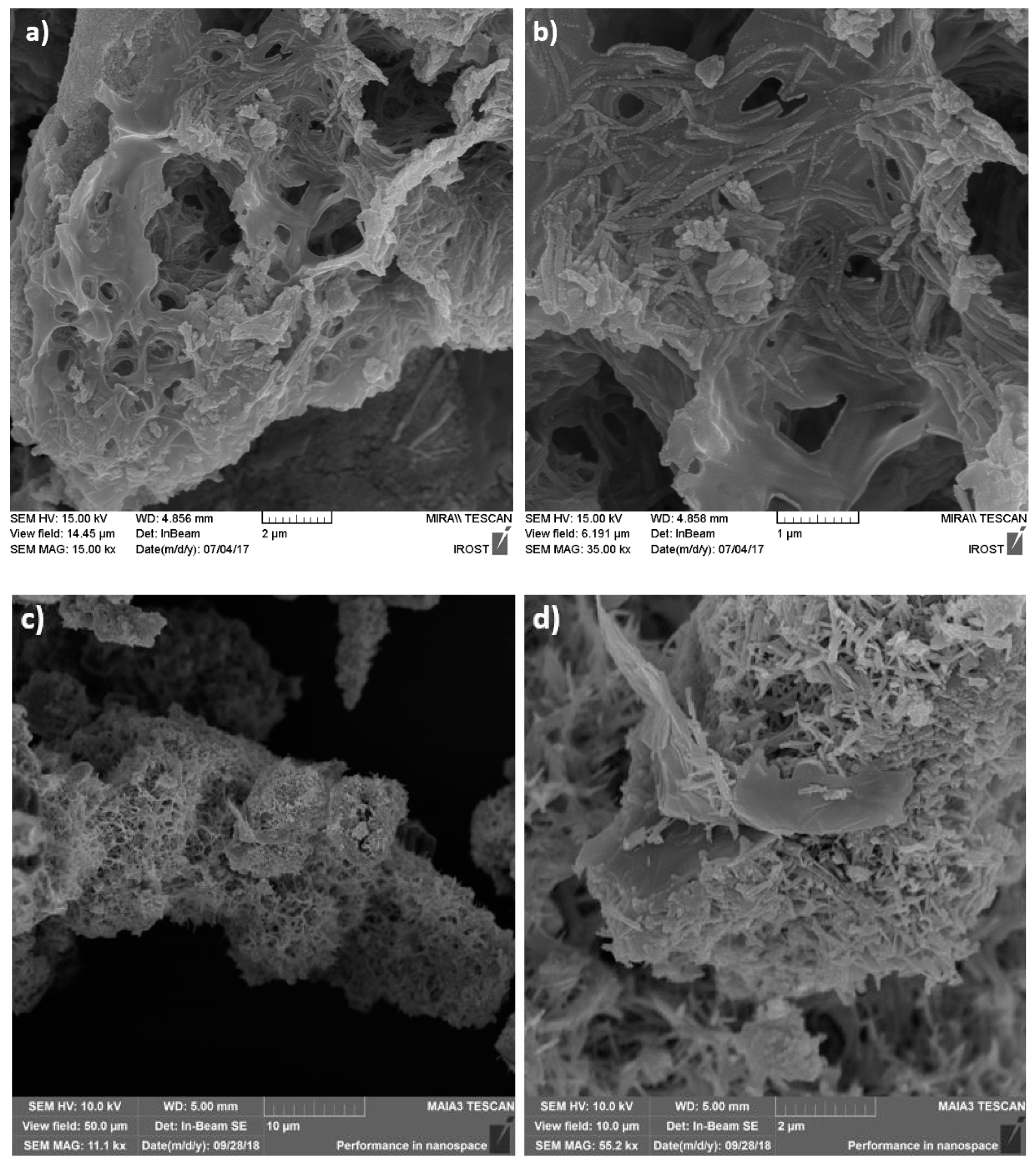 Crystals 09 00031 g004 Crystals 09 00031 g004
