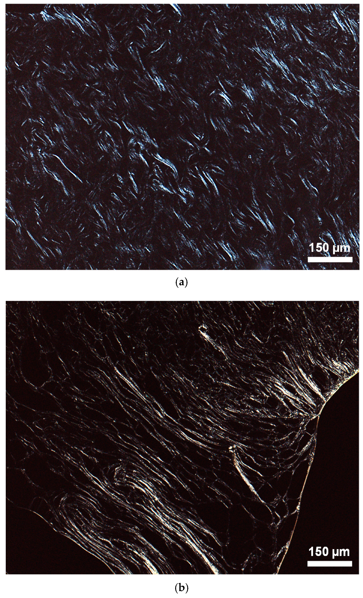 Crystals 09 00034 g001