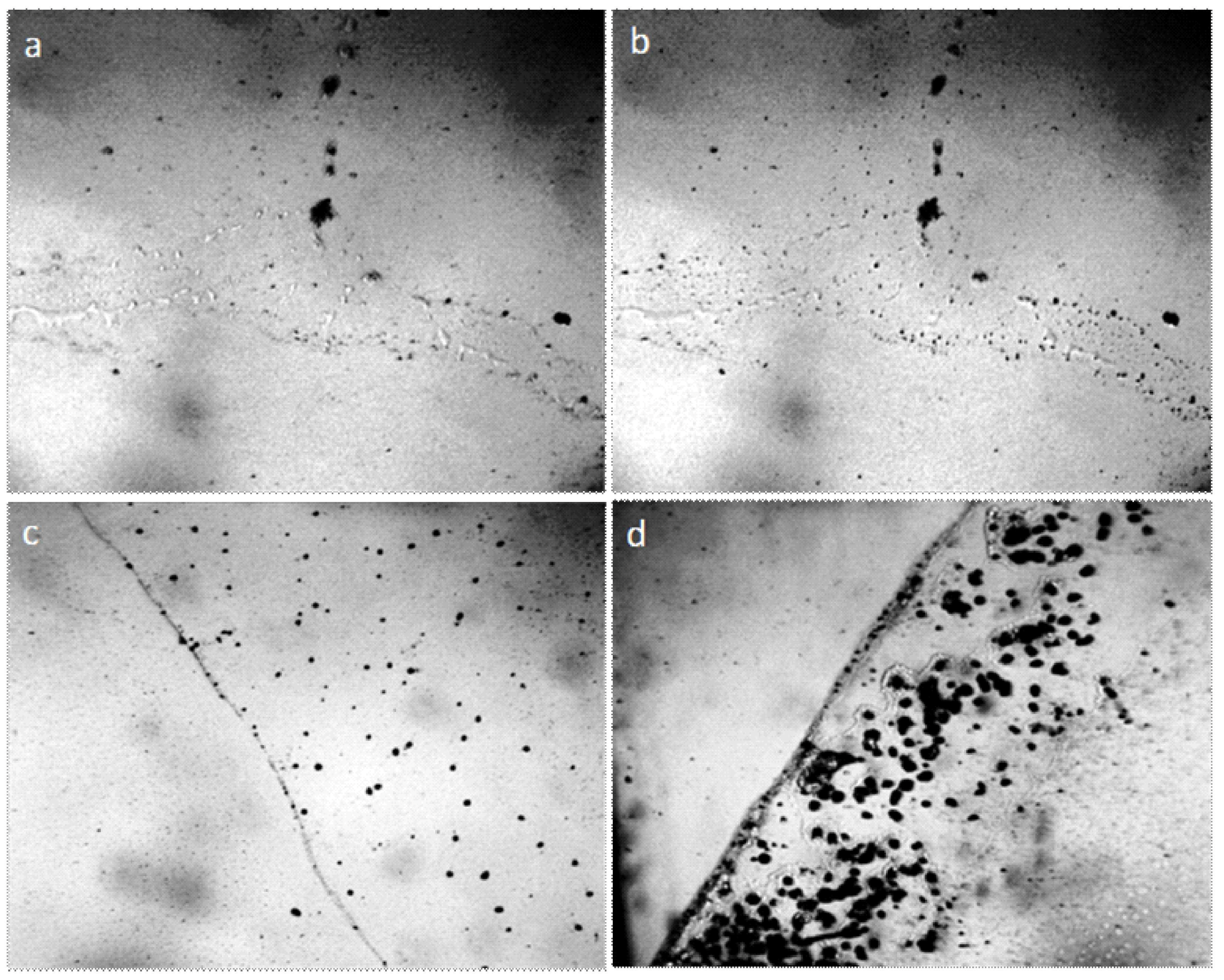 Crystals 09 00052 g004