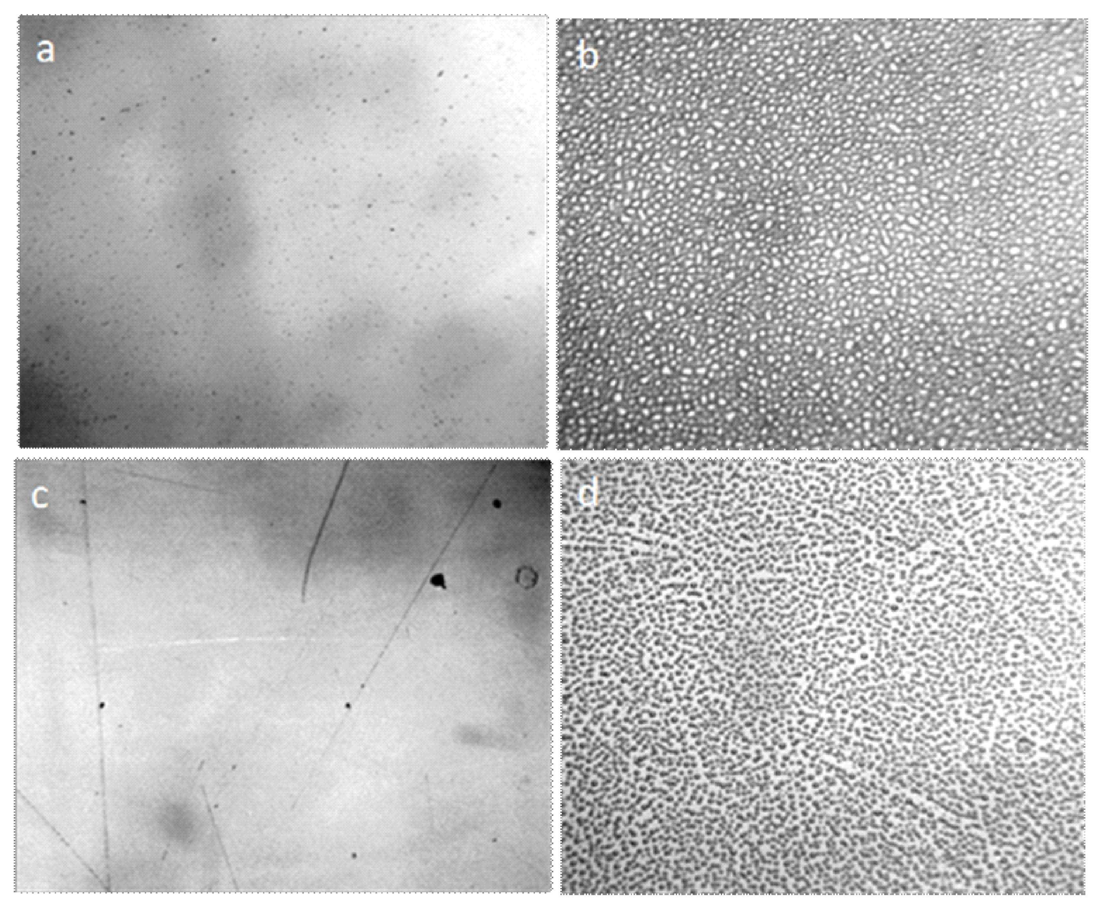 Crystals 09 00052 g009