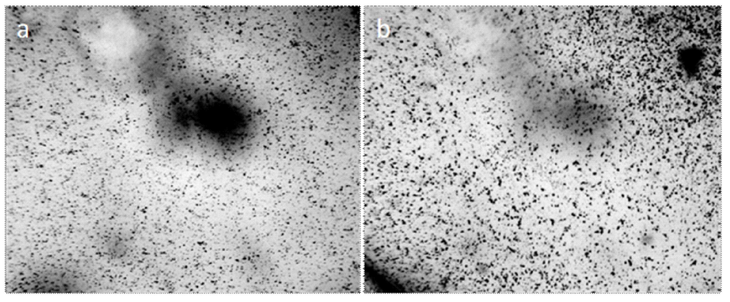 Crystals 09 00052 g010