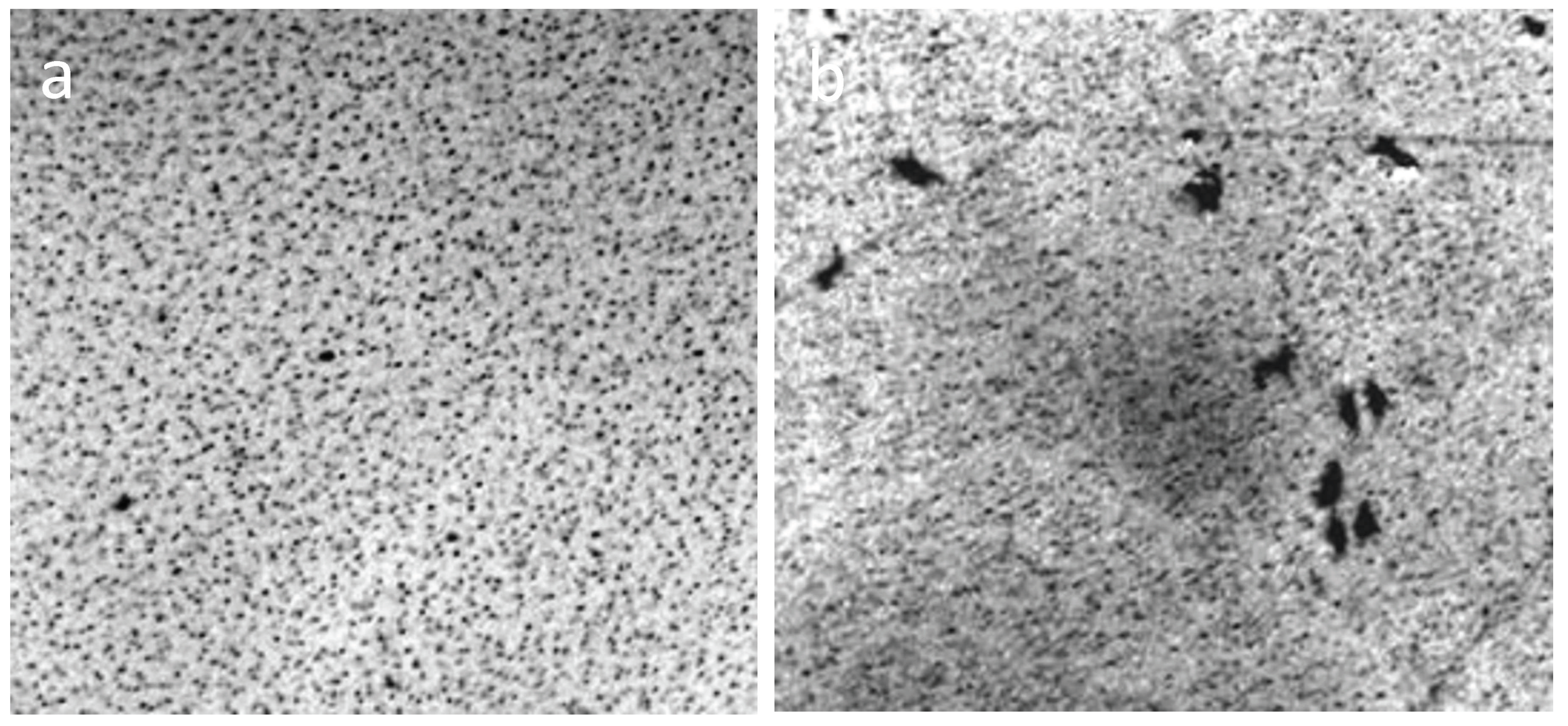 Crystals 09 00052 g011