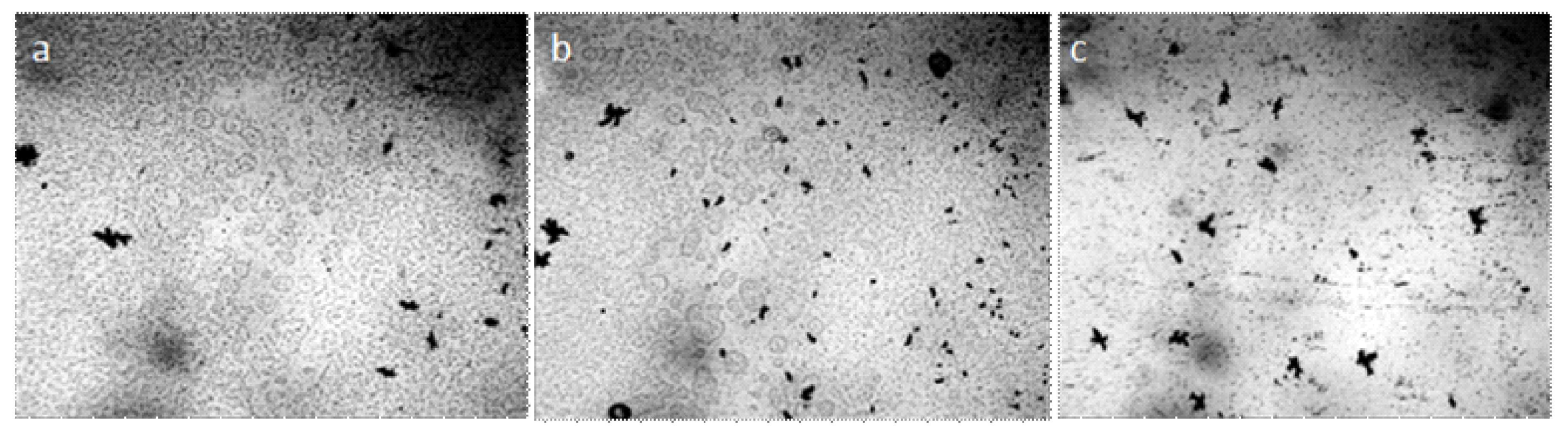 Crystals 09 00052 g013