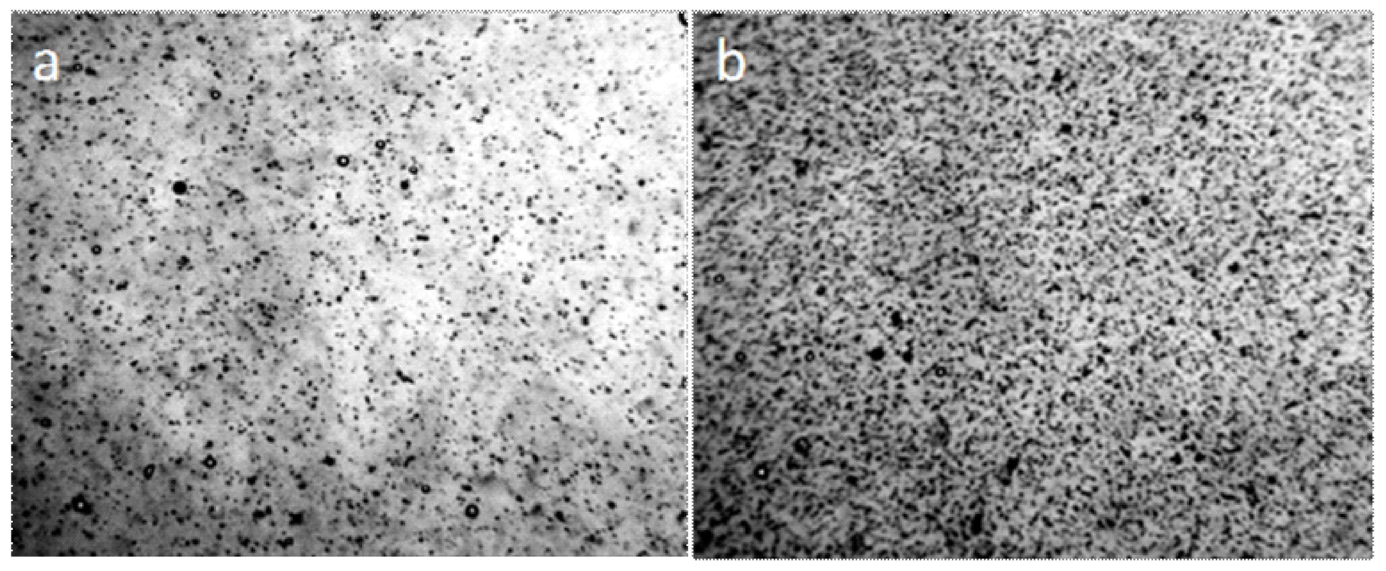 Crystals 09 00052 g014