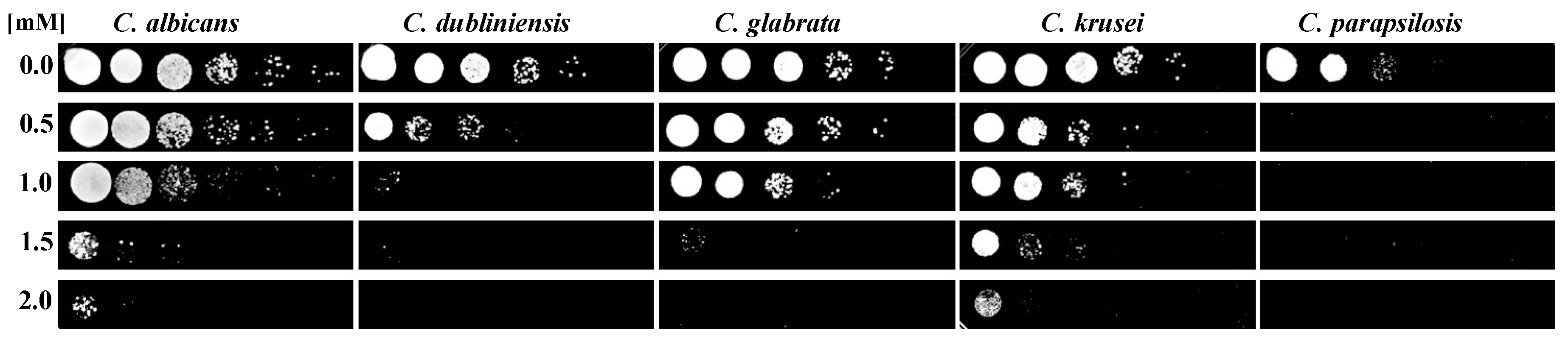 Crystals 09 00061 g001
