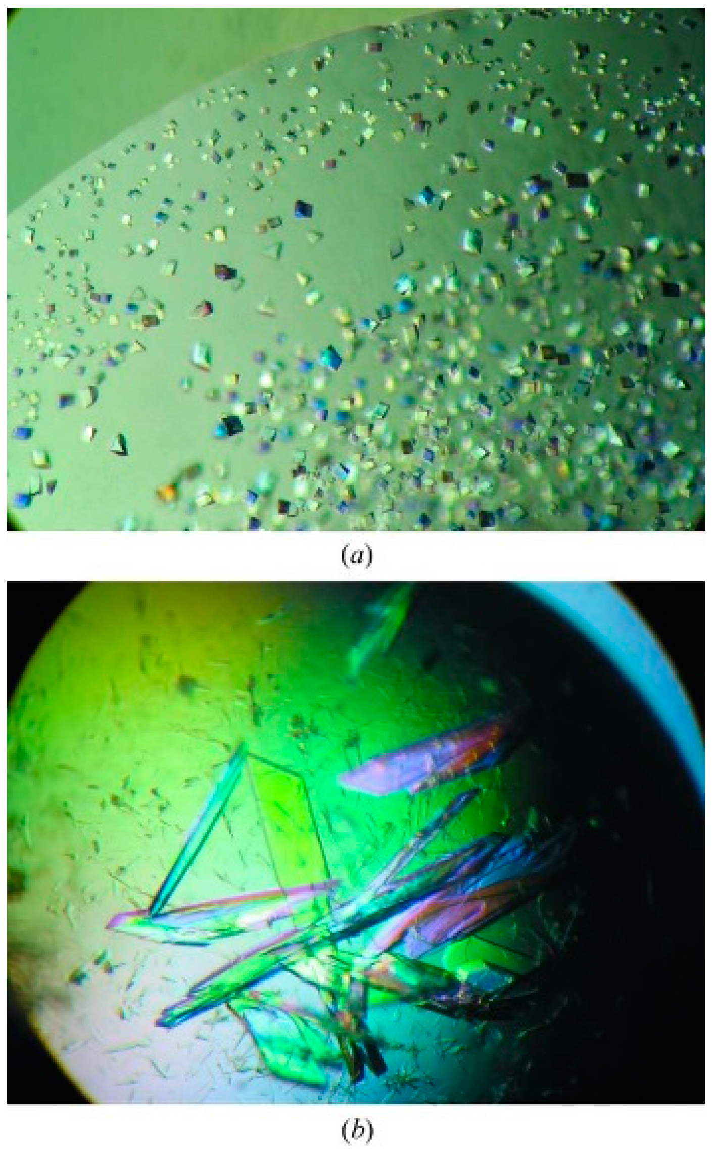 Crystals 09 00106 g003