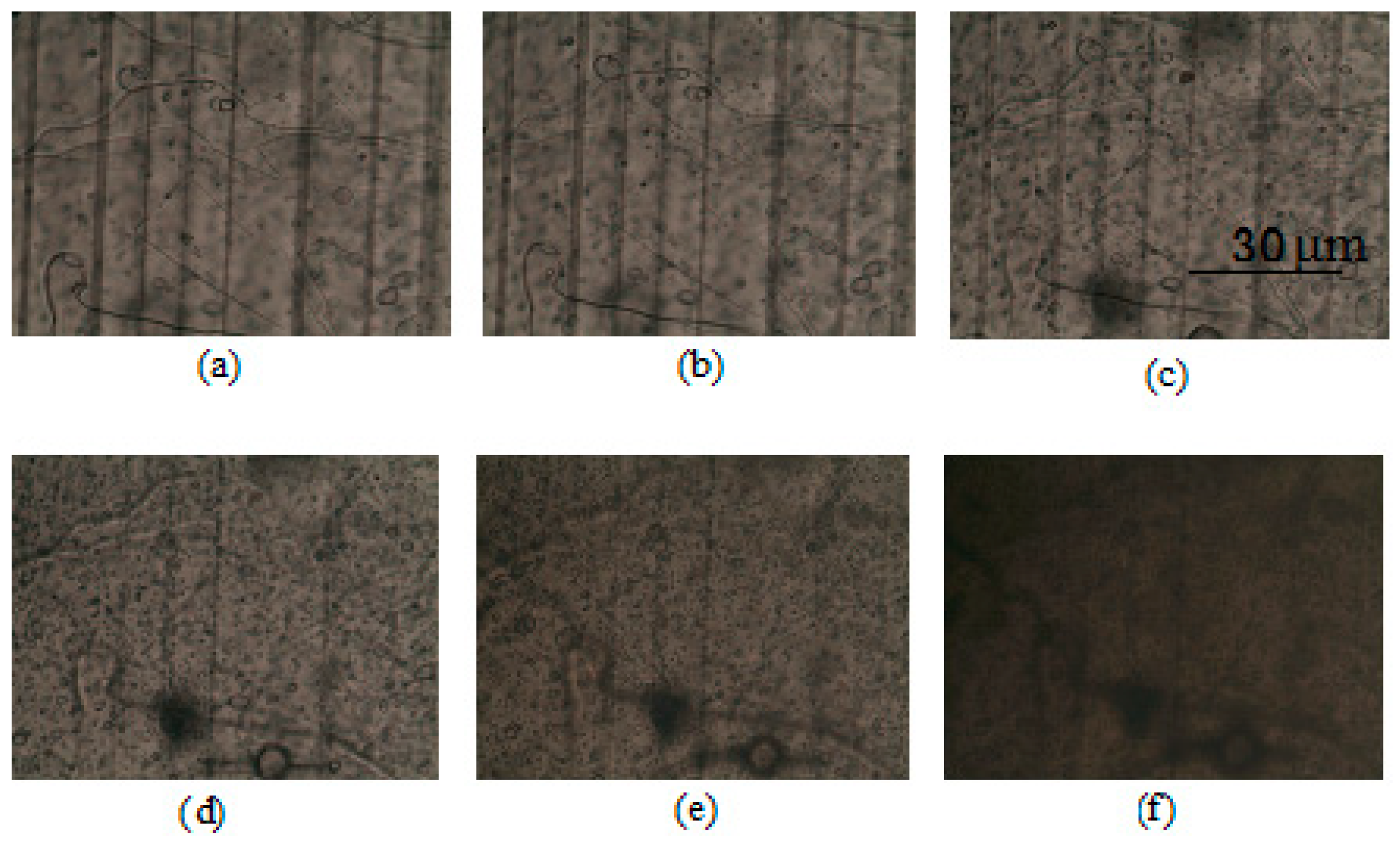 Crystals 09 00108 g008 550