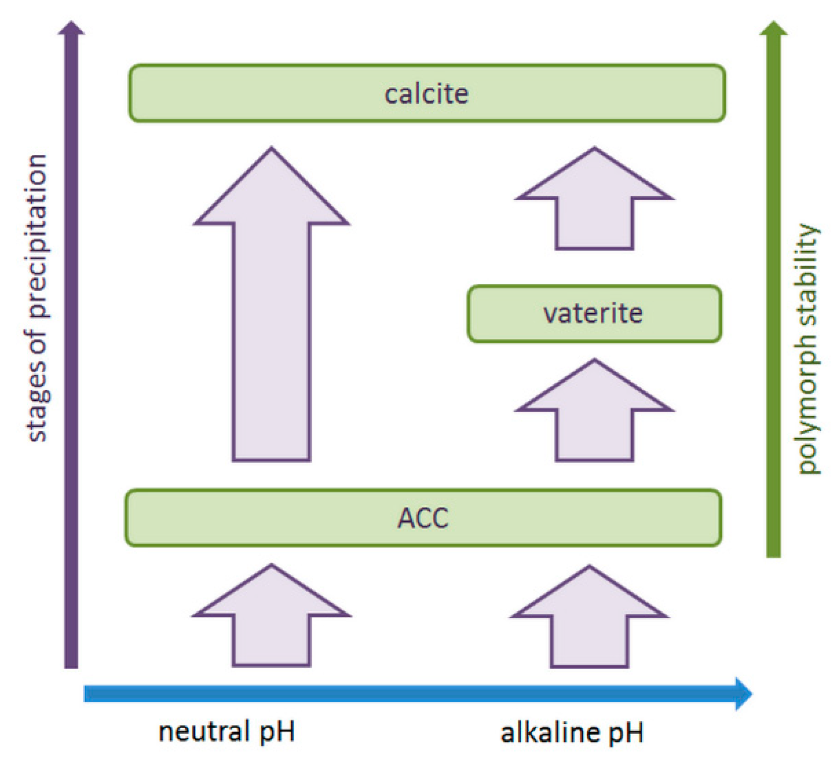 Crystals 09 00117 g004