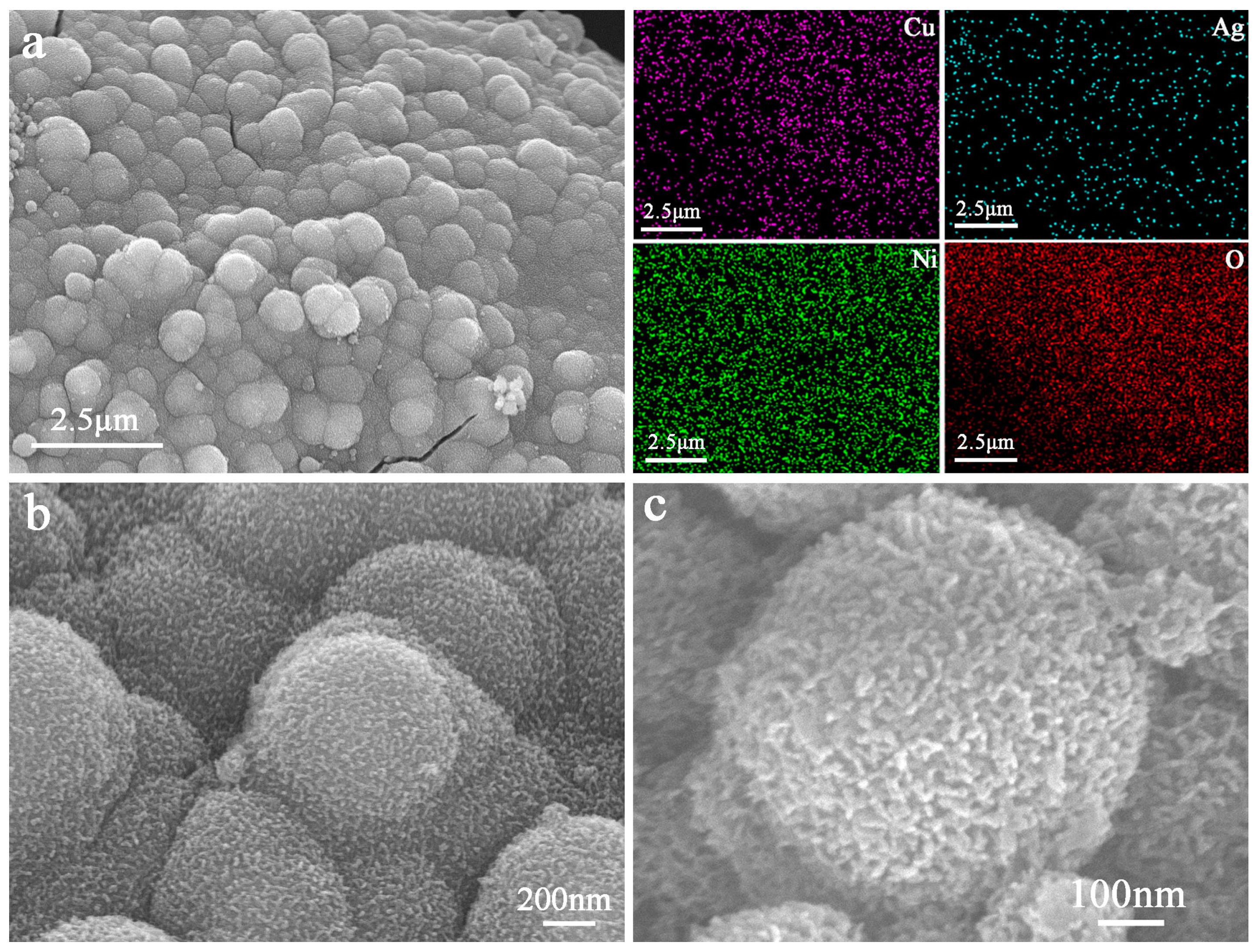 Crystals 09 00118 g003