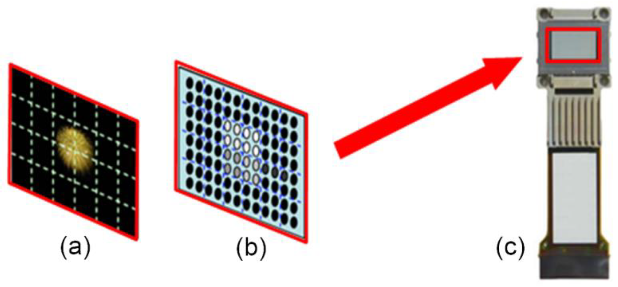 Crystals 09 00122 g007 550