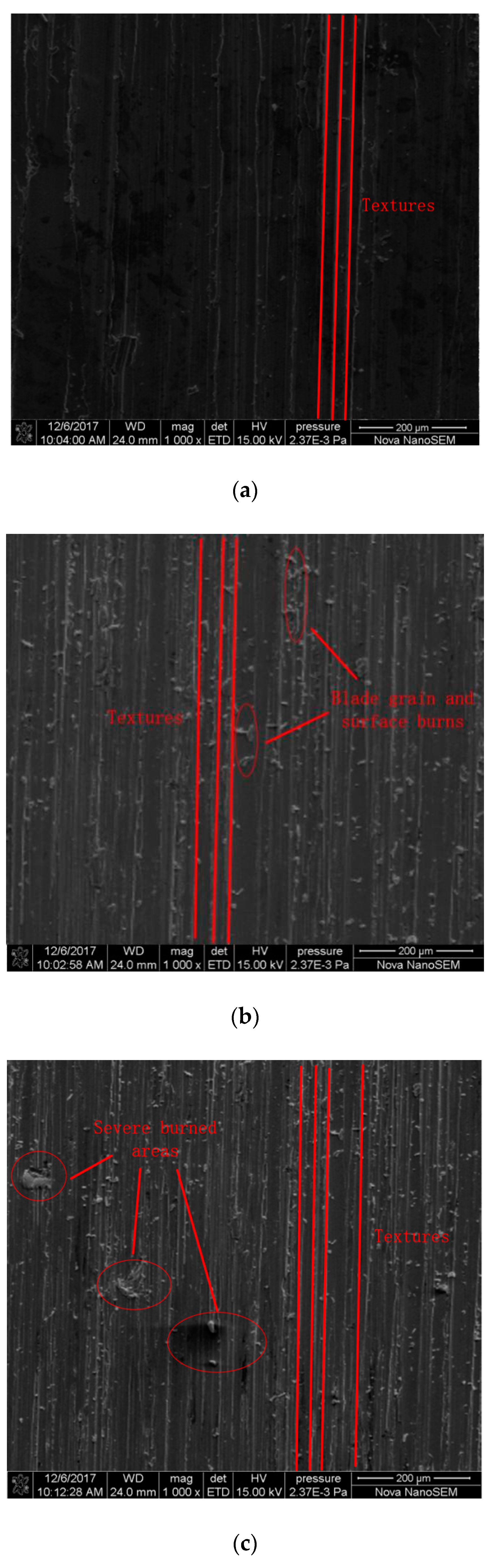 Crystals 09 00123 g006 550